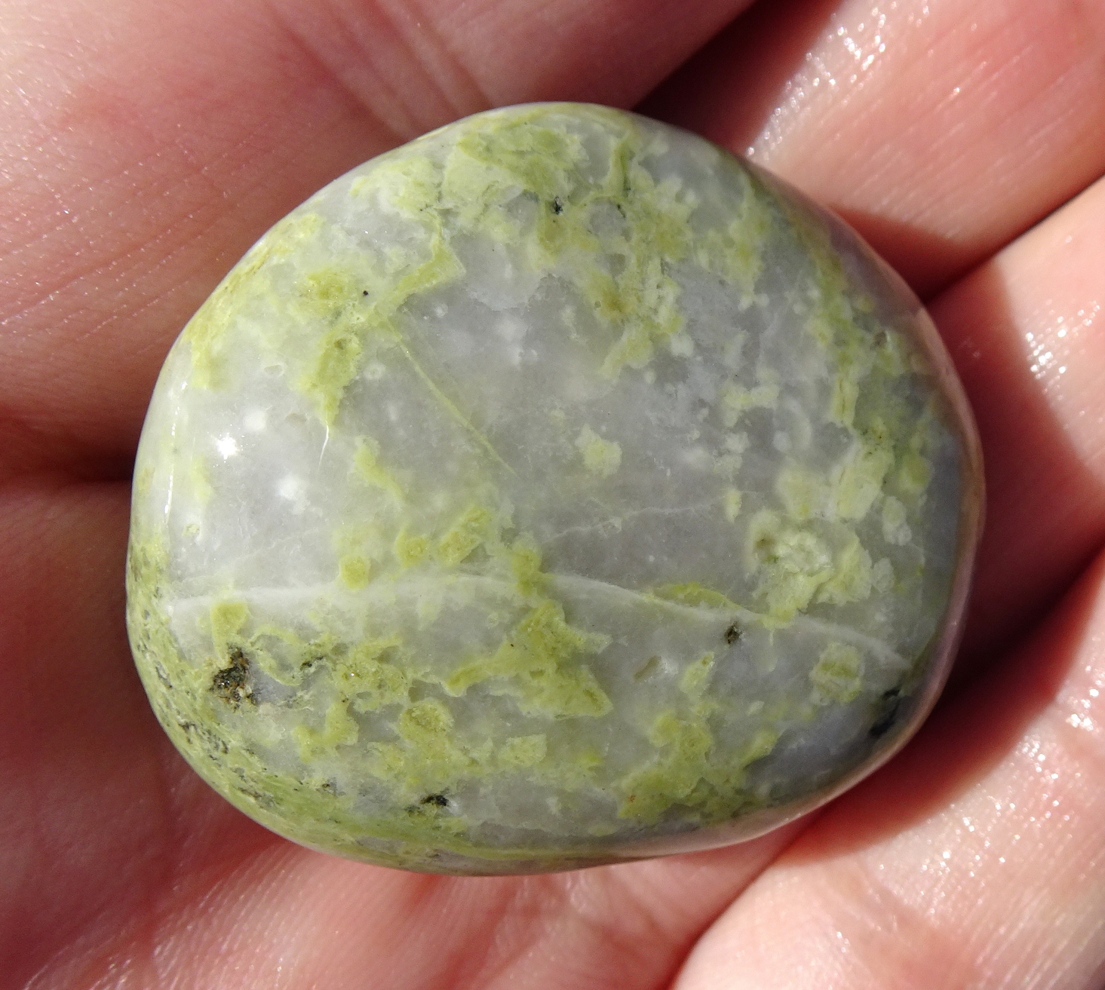 Maybe epidote in quartz.