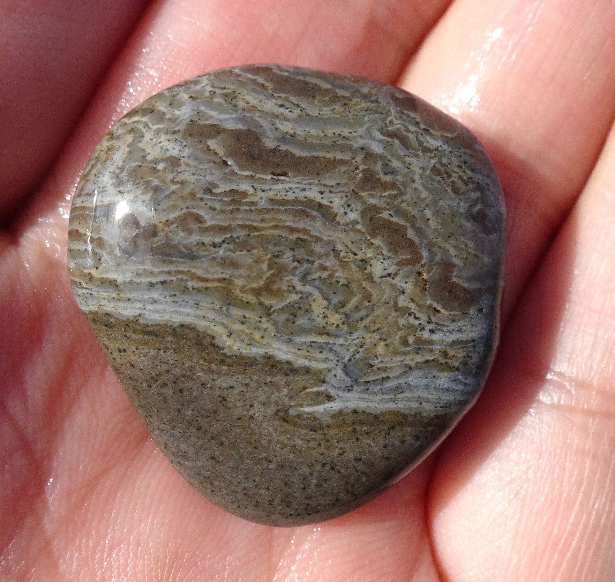 Stone 5, pic in sun.