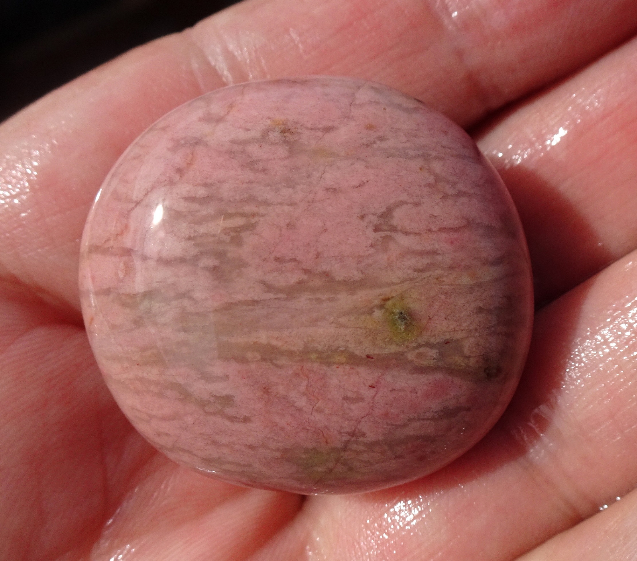Stone 7 wet.