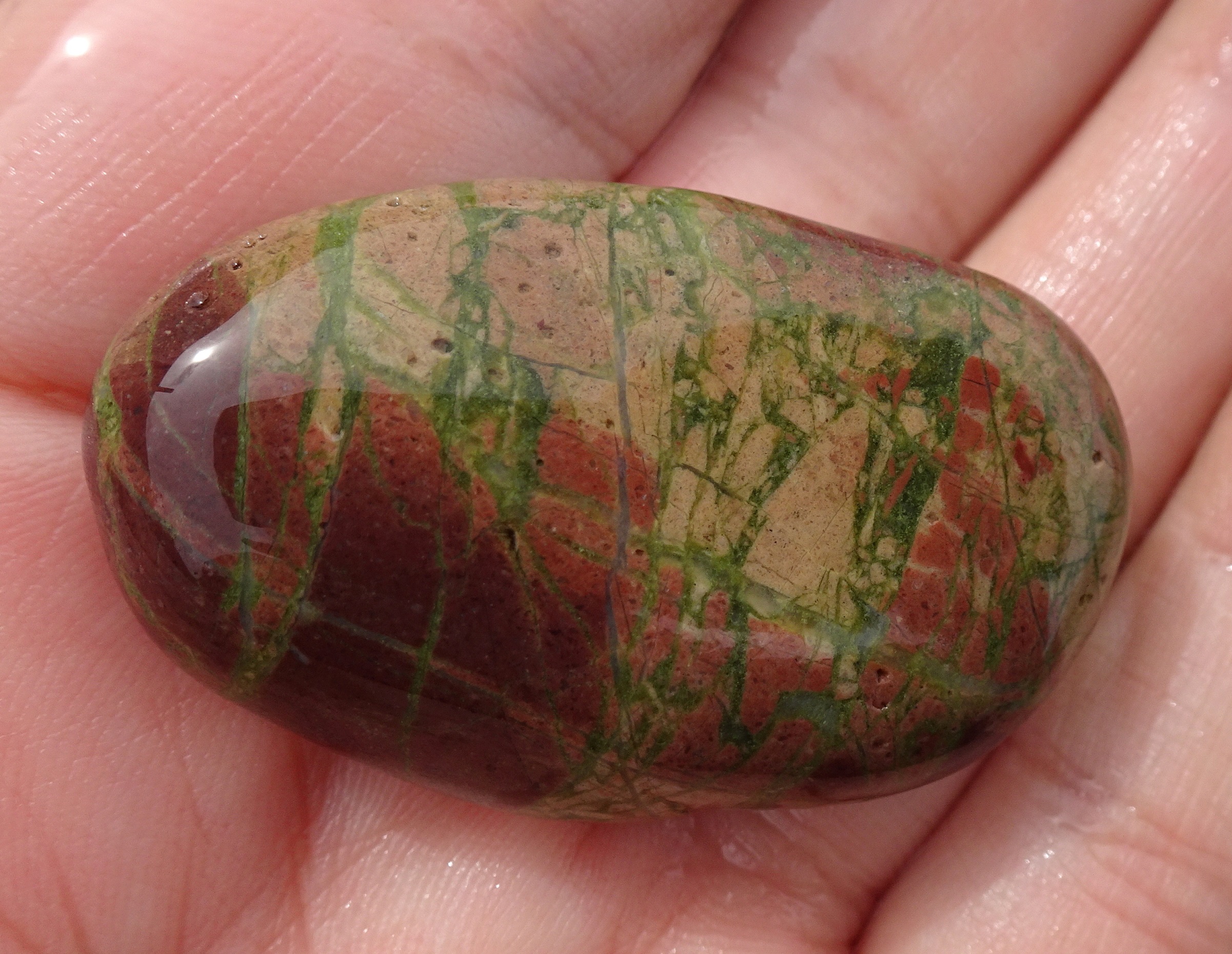 Maybe a jasper, with brecciation at different scales.