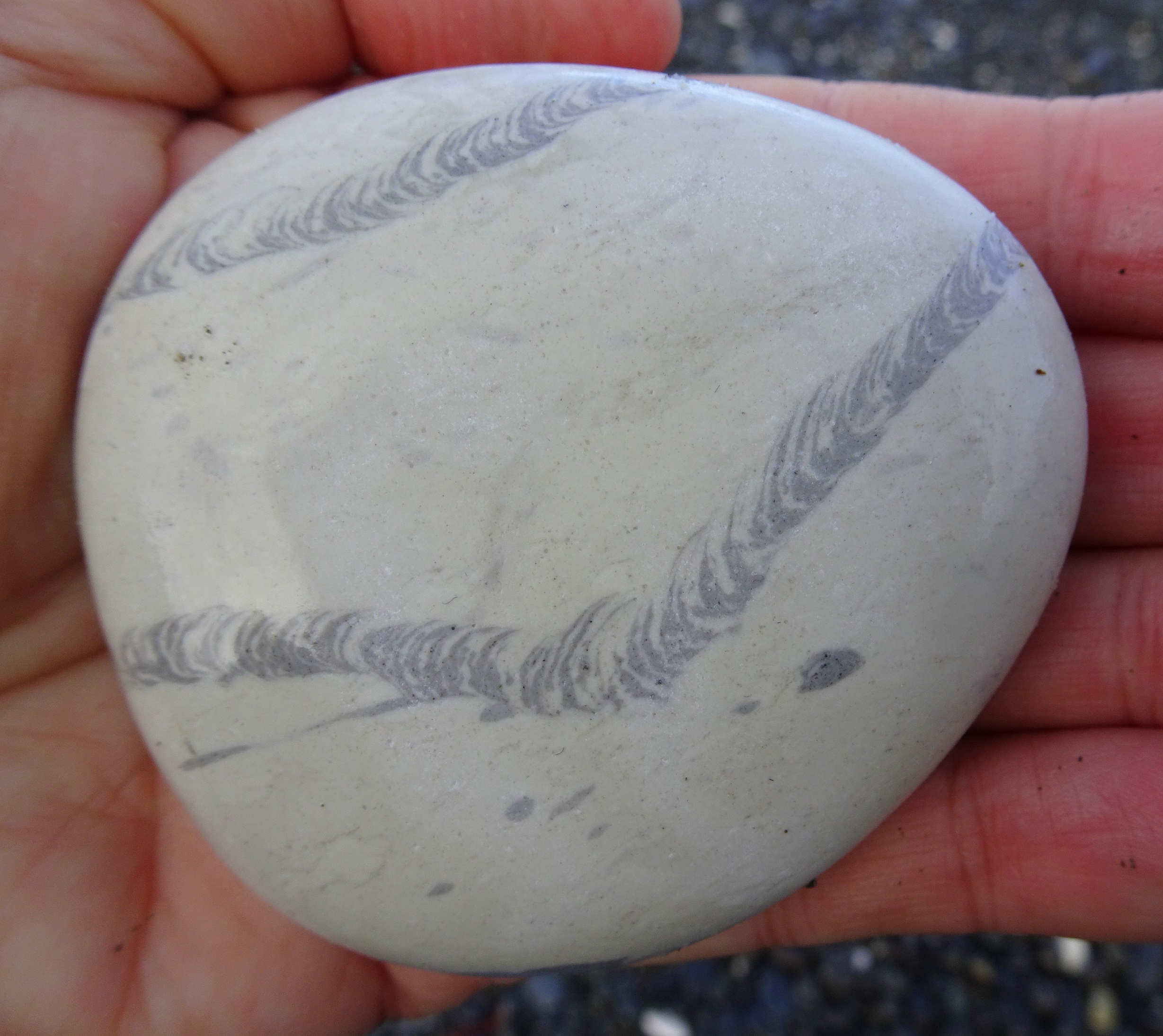 https://tumblestoneblog.wordpress.com/2020/12/18/south-island-stone-collecting-trip-may-june-2020-index-and-contents/