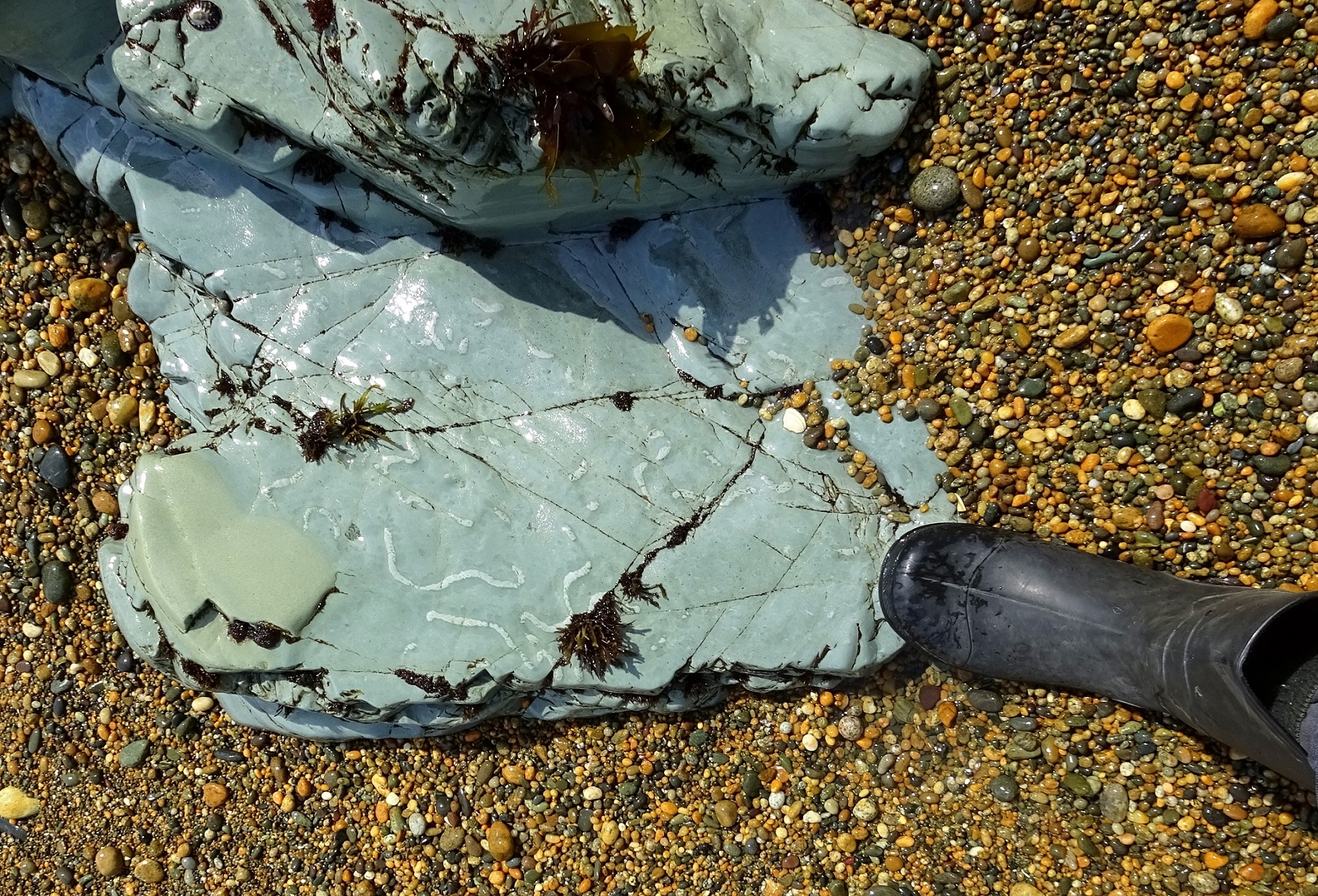 Rock at east end of Tihaka Beach, November 2019.