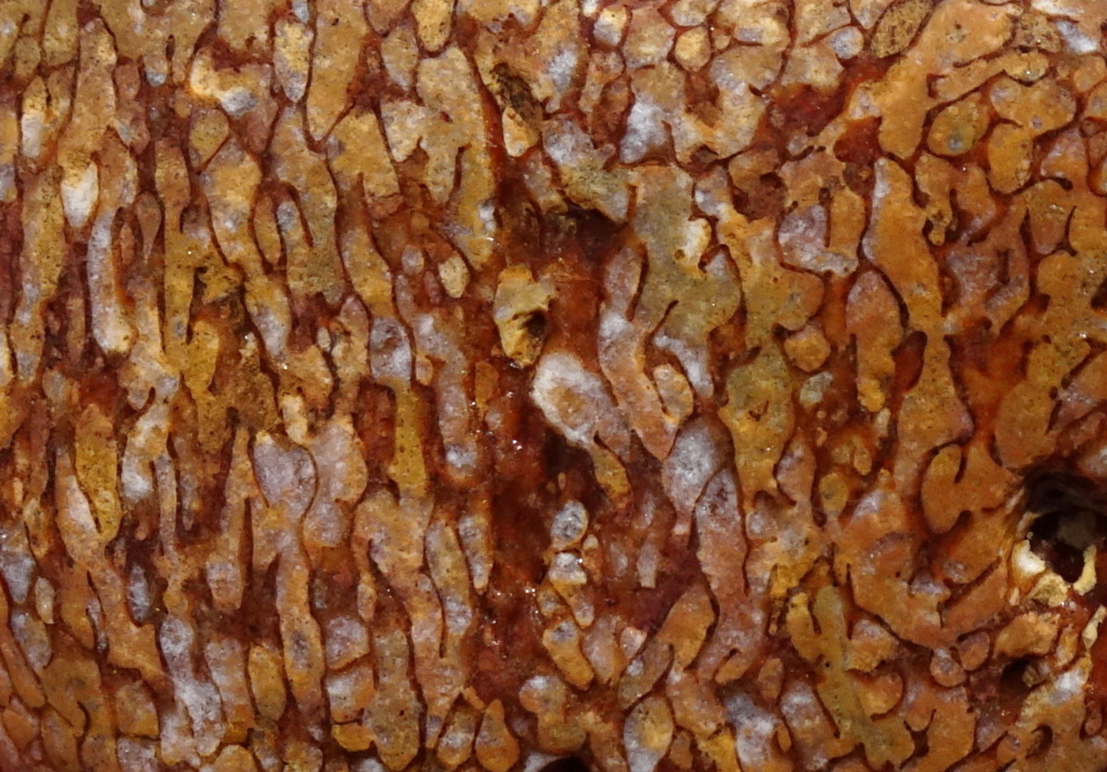 01bcc22