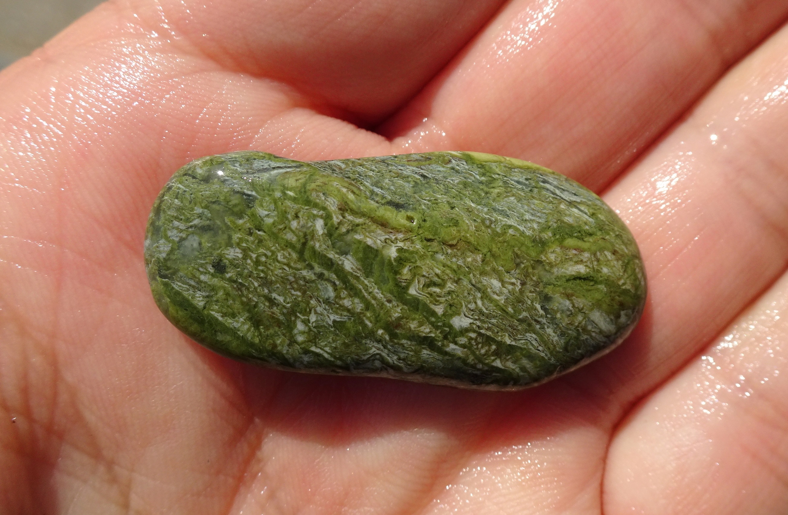 Seadown Beach, Kakanui.