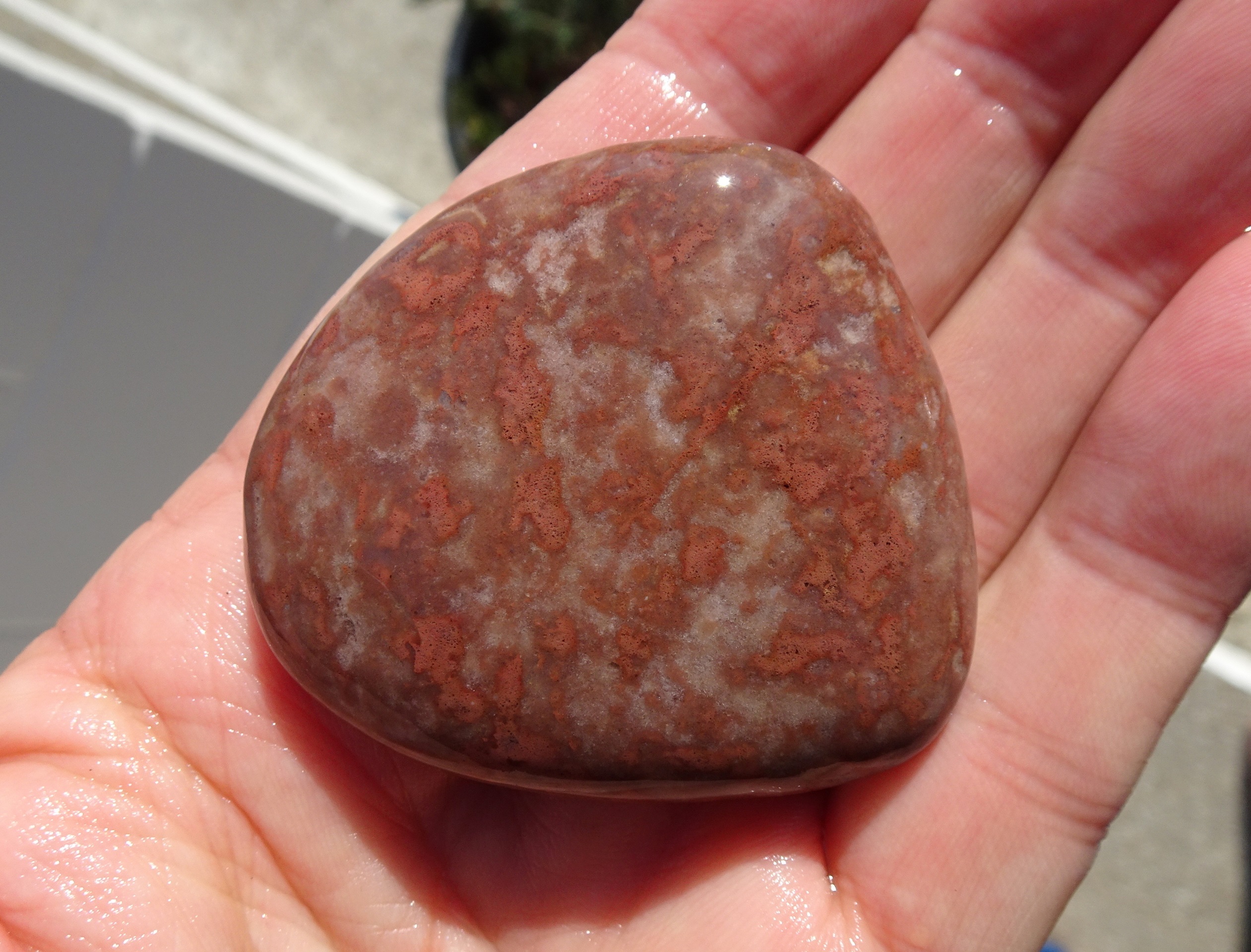 Red Kakanui quartzite.