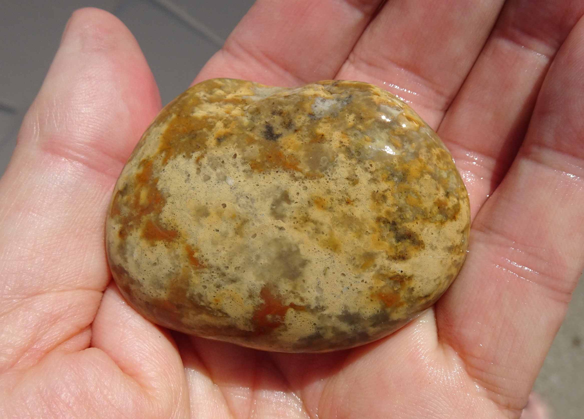 Yellow quartzite, Kakanui.