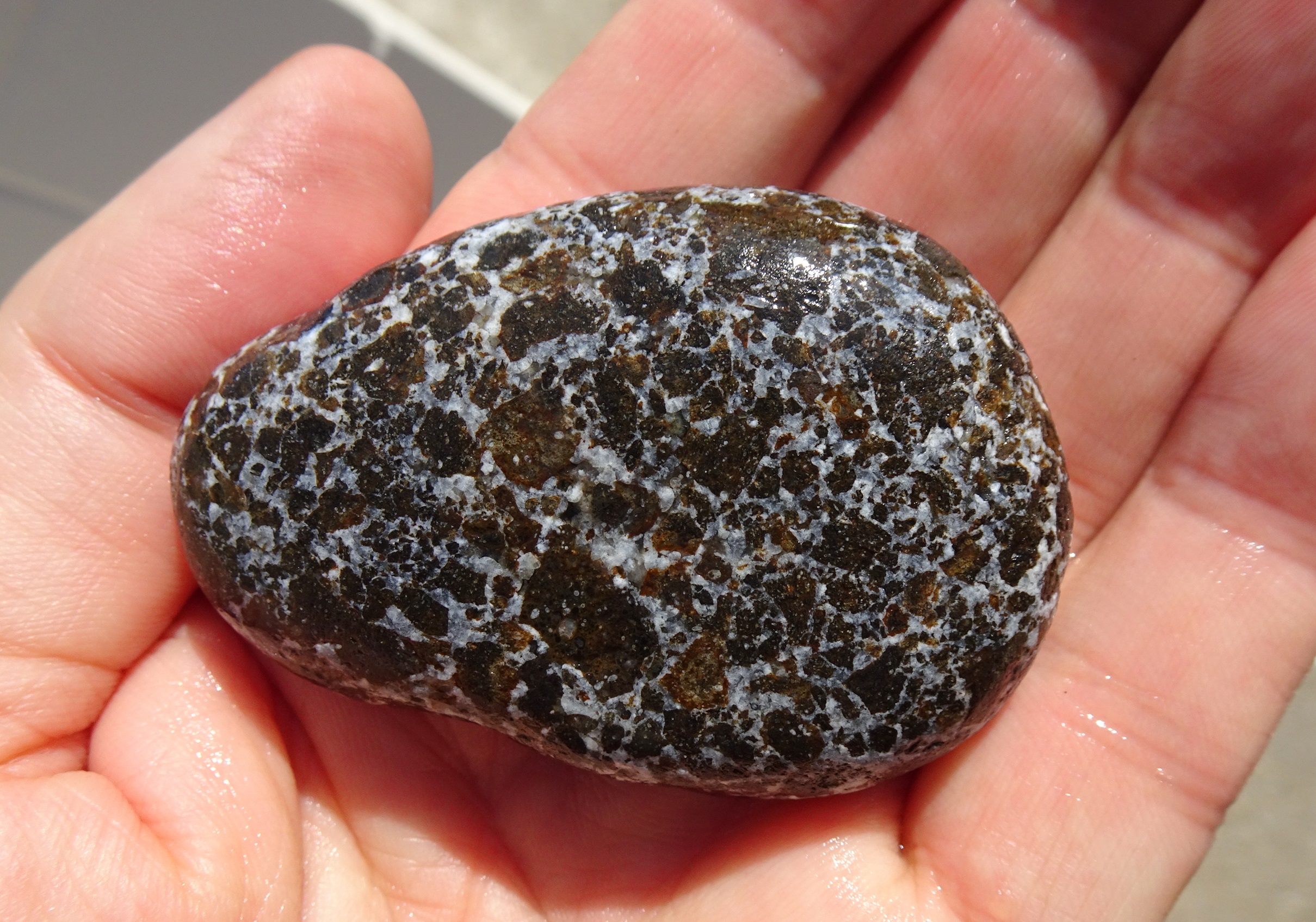 Kakanui mineral breccia.