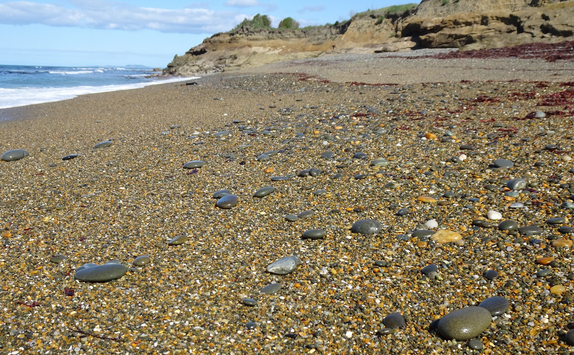 Seadown Beach stones.