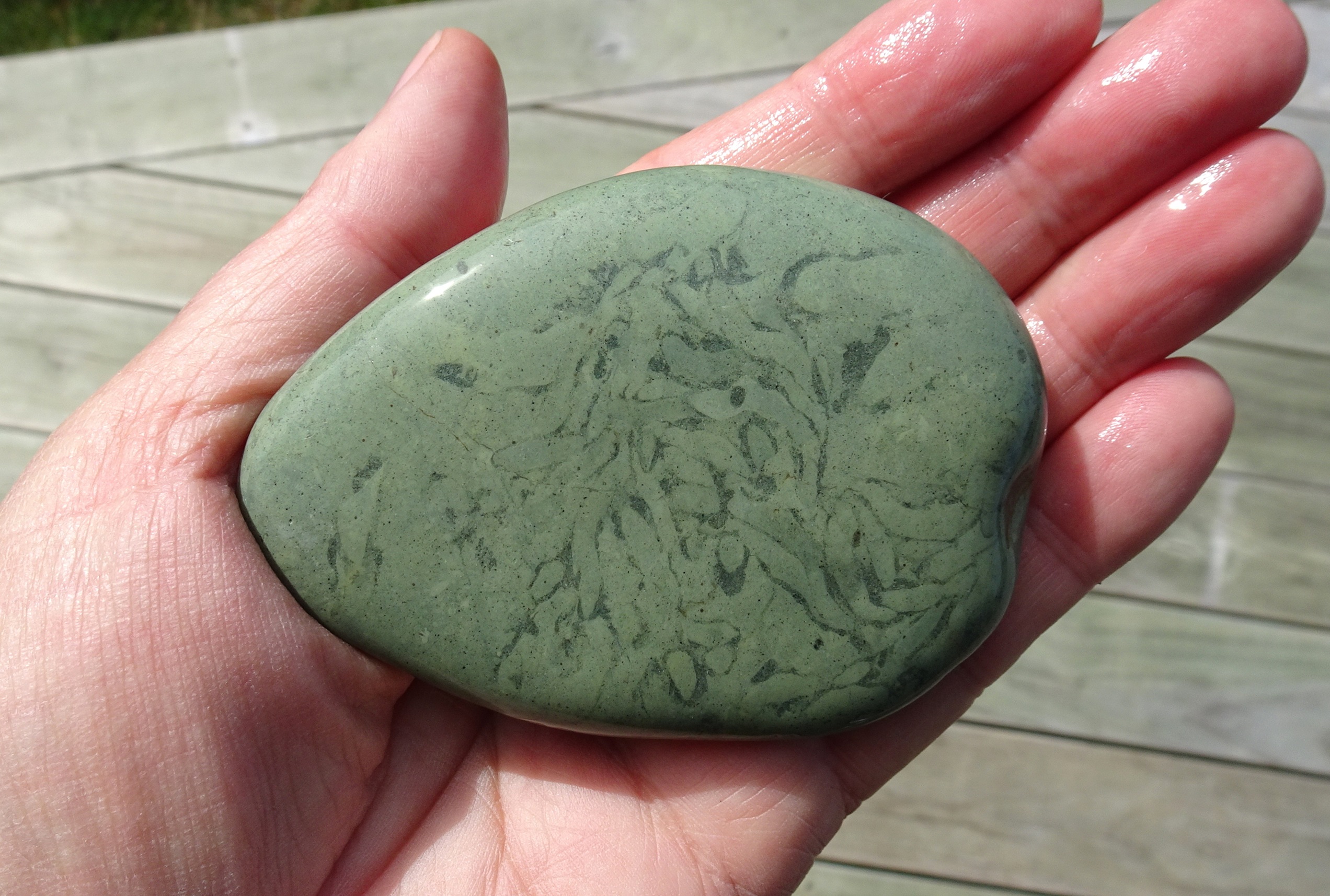 Busy trace fossil stone.