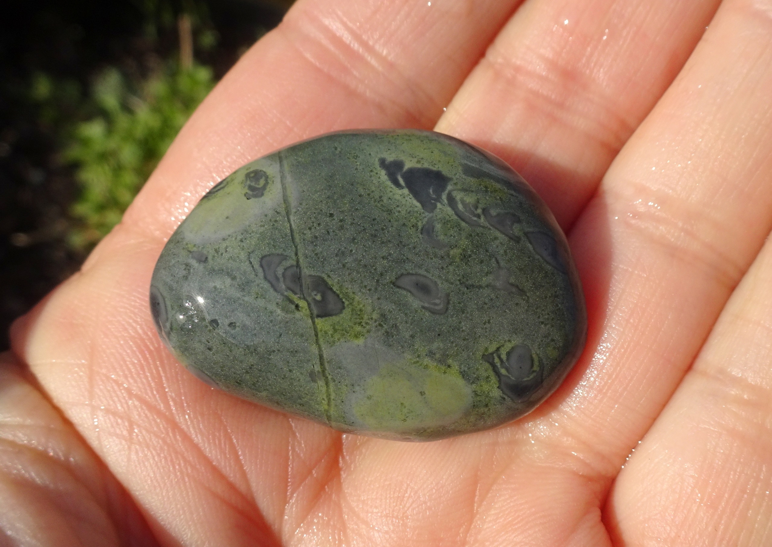 Gray trace fossil stone.