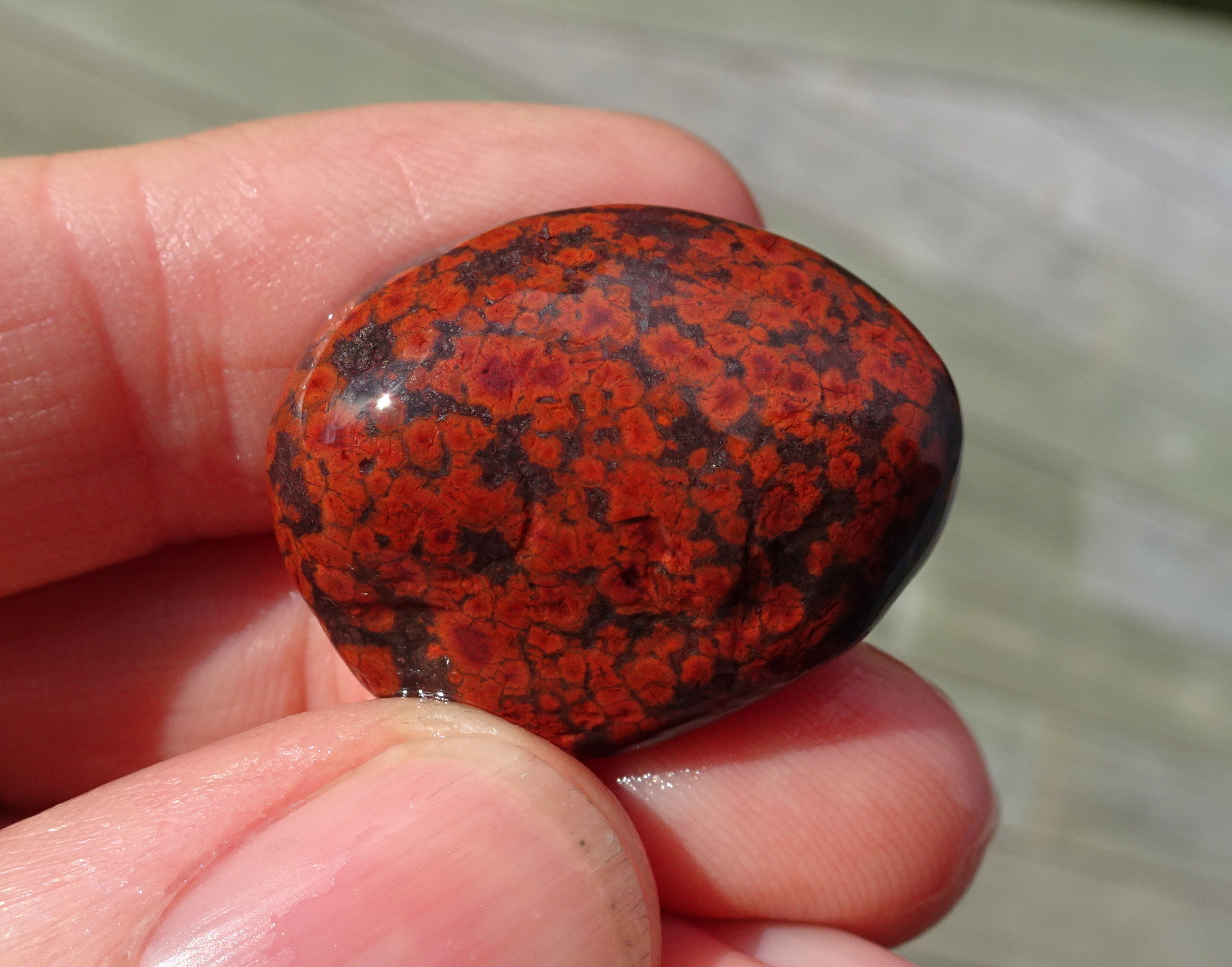 Small poppy jasper.