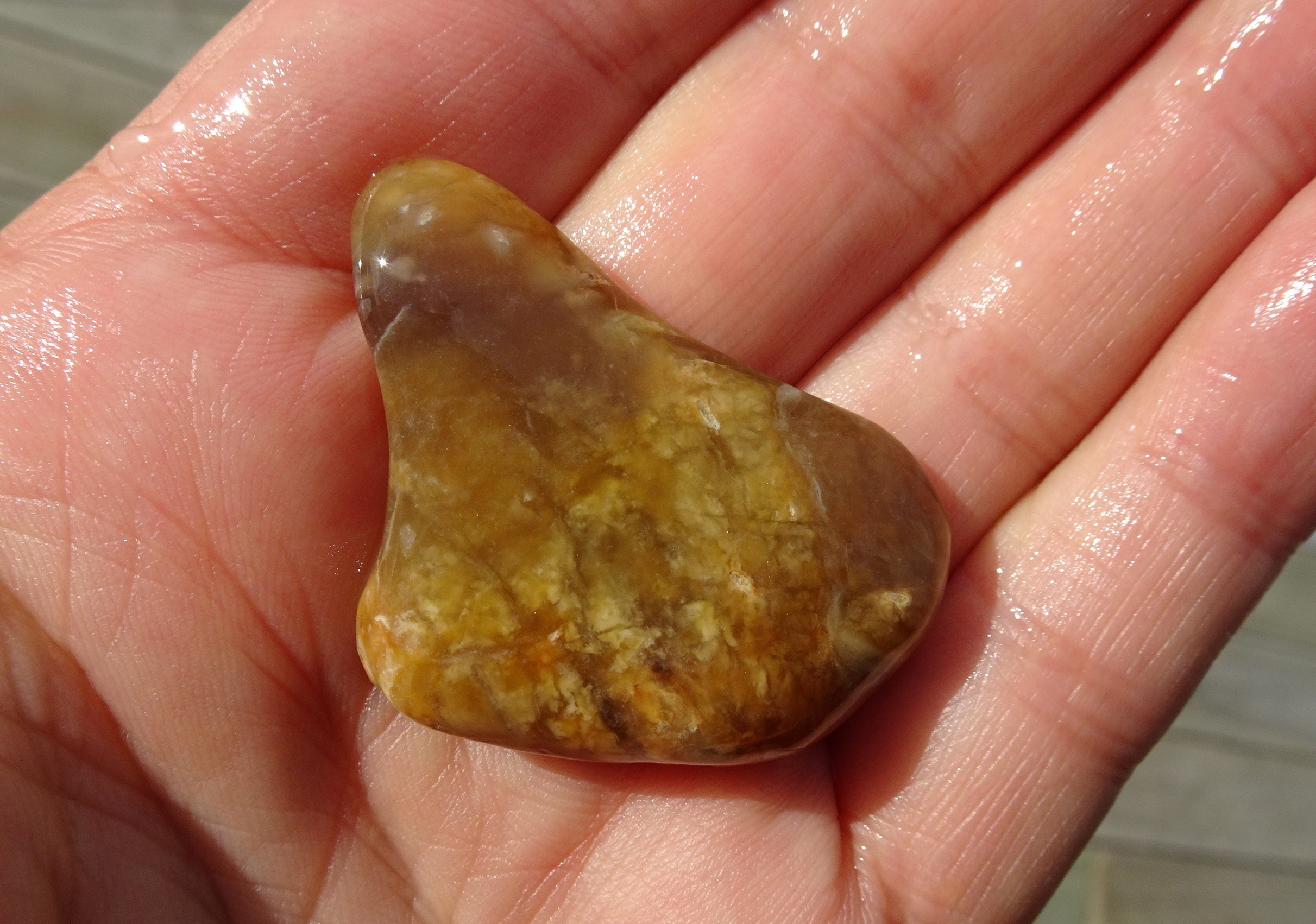 Brown hydrogrossular garnet.