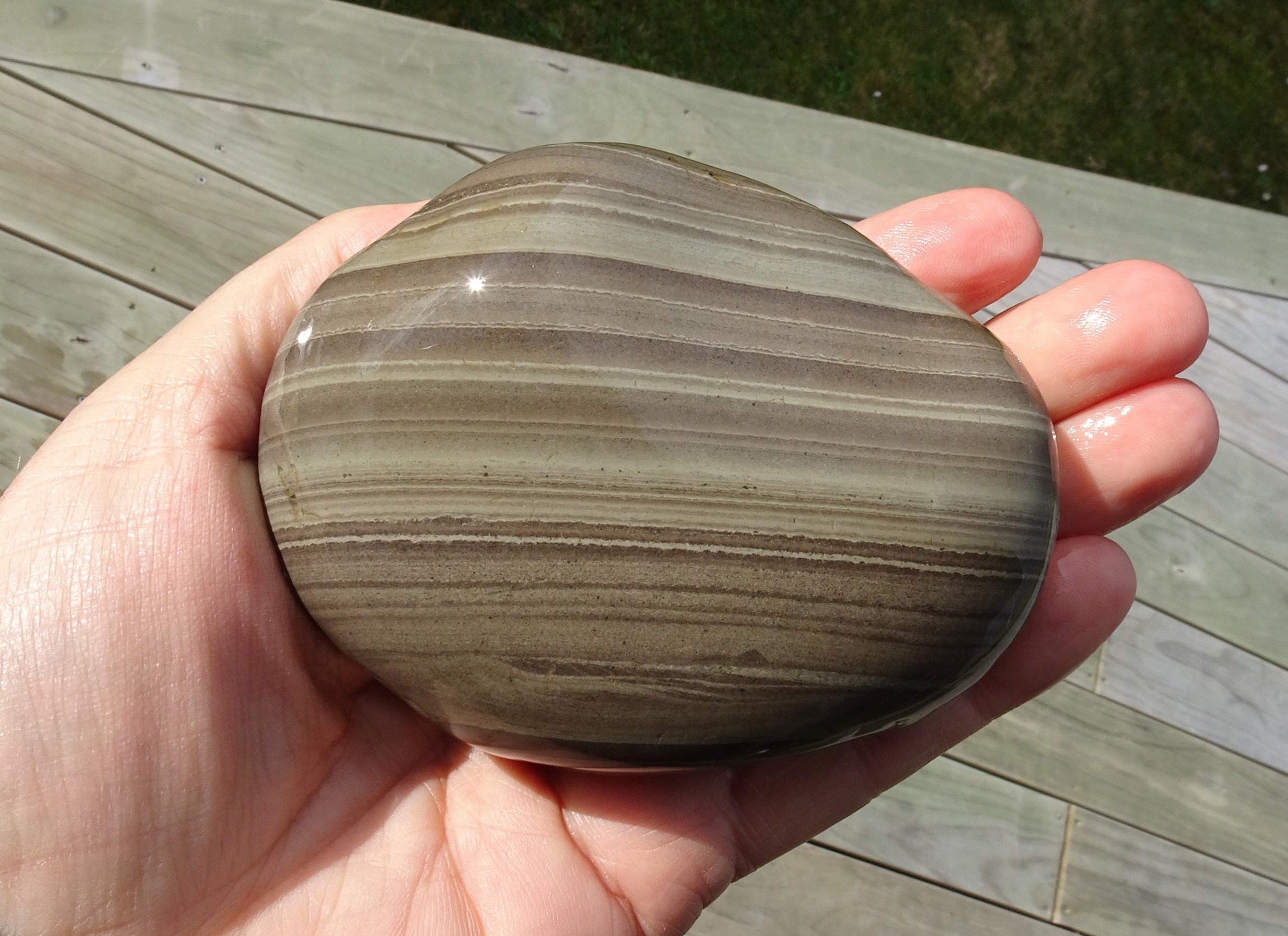 Large banded argillite, Gemstone Beach.