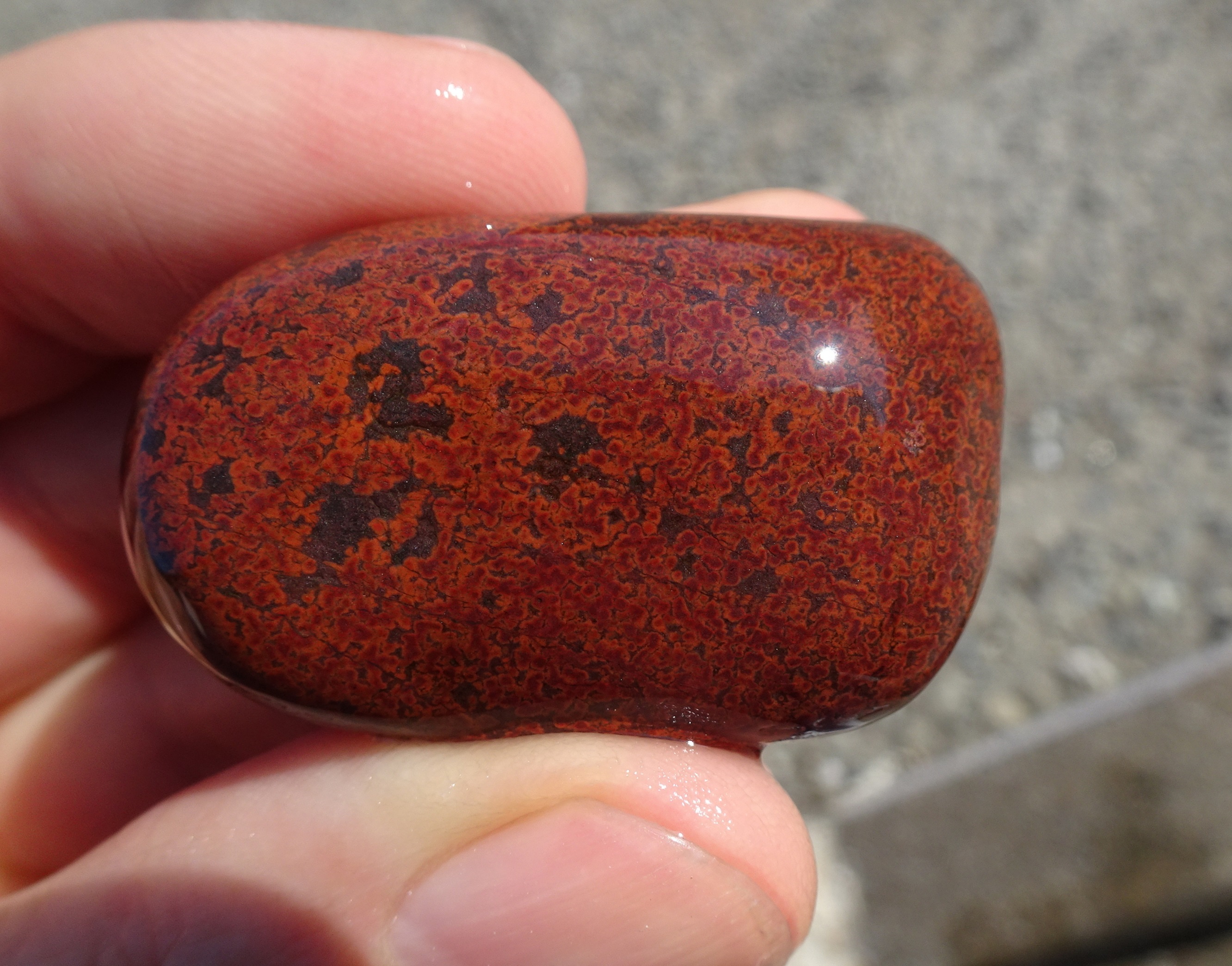 Hematite jasper with some "poppy" features.