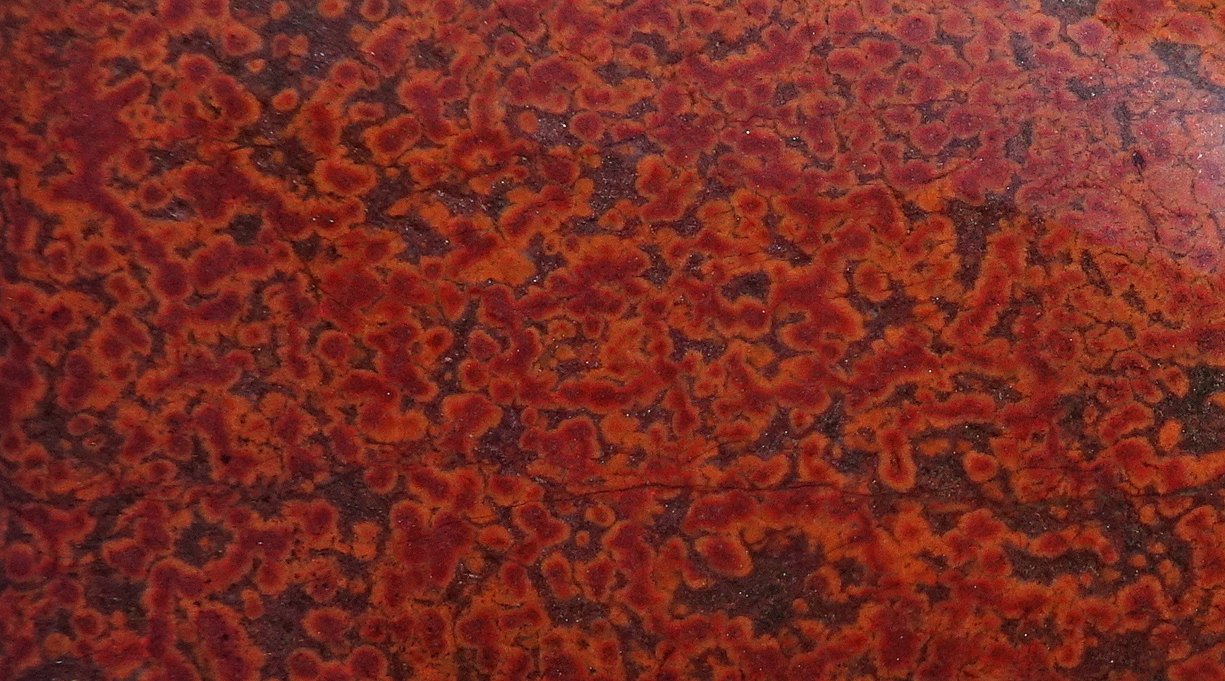 01bcc22