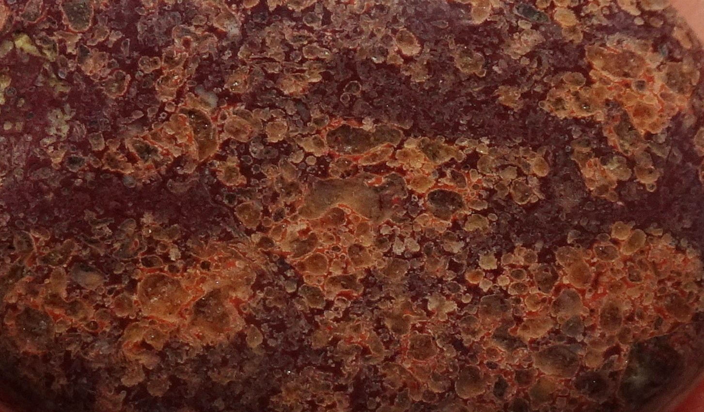 02bcc22