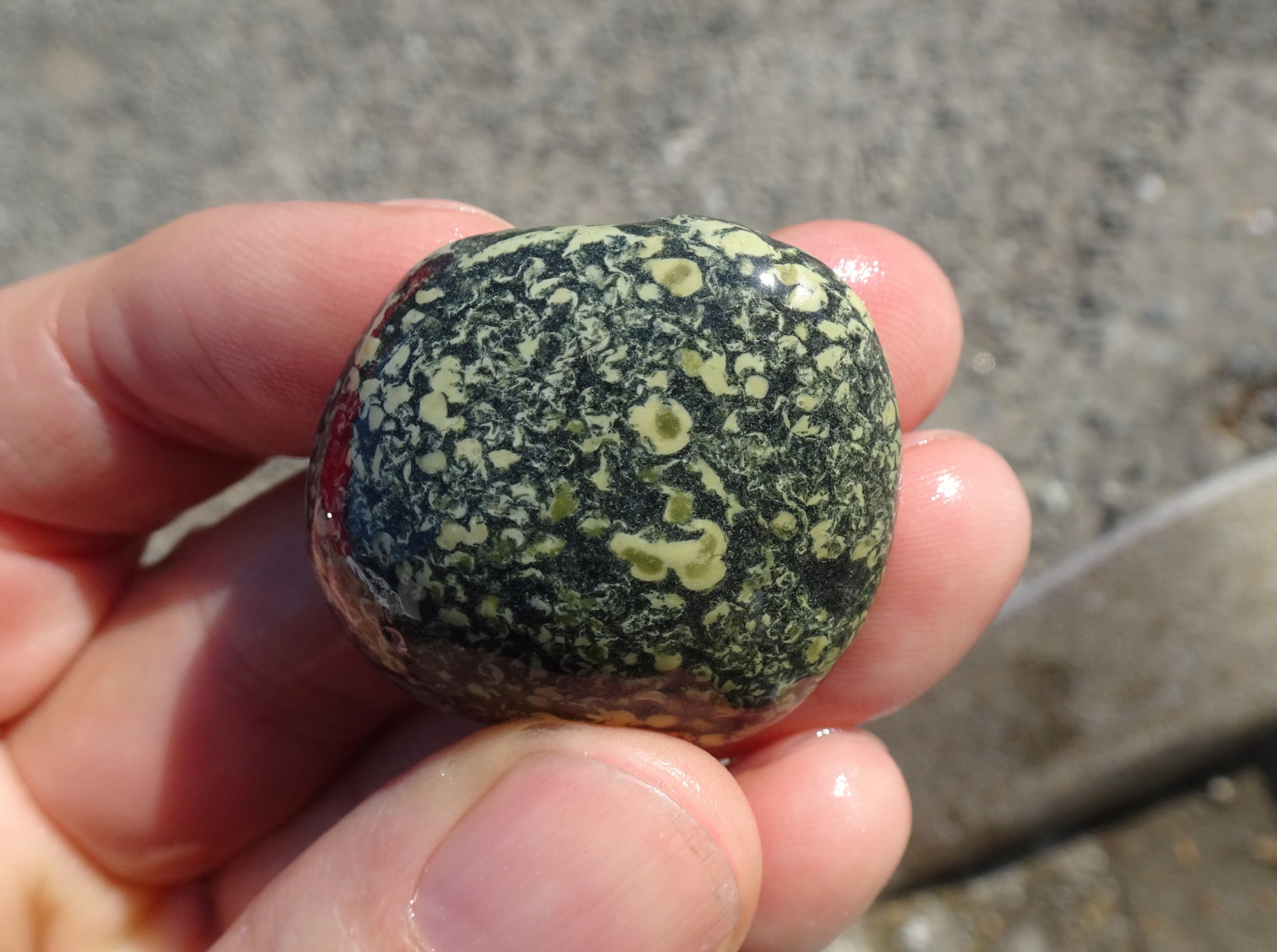 Small spotty stone.