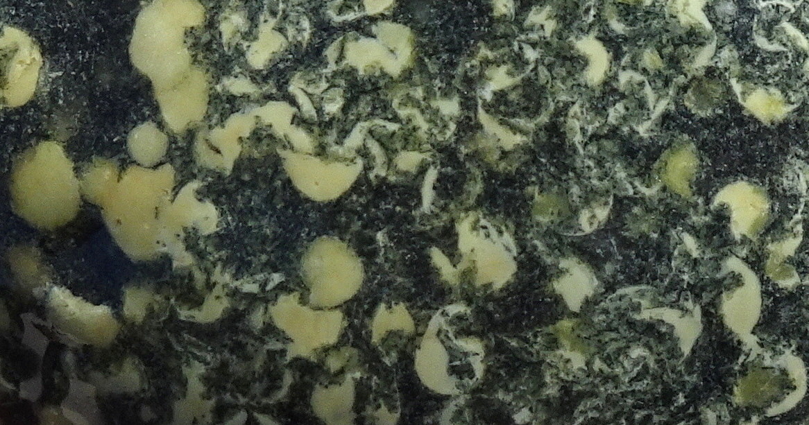 03ccc22
