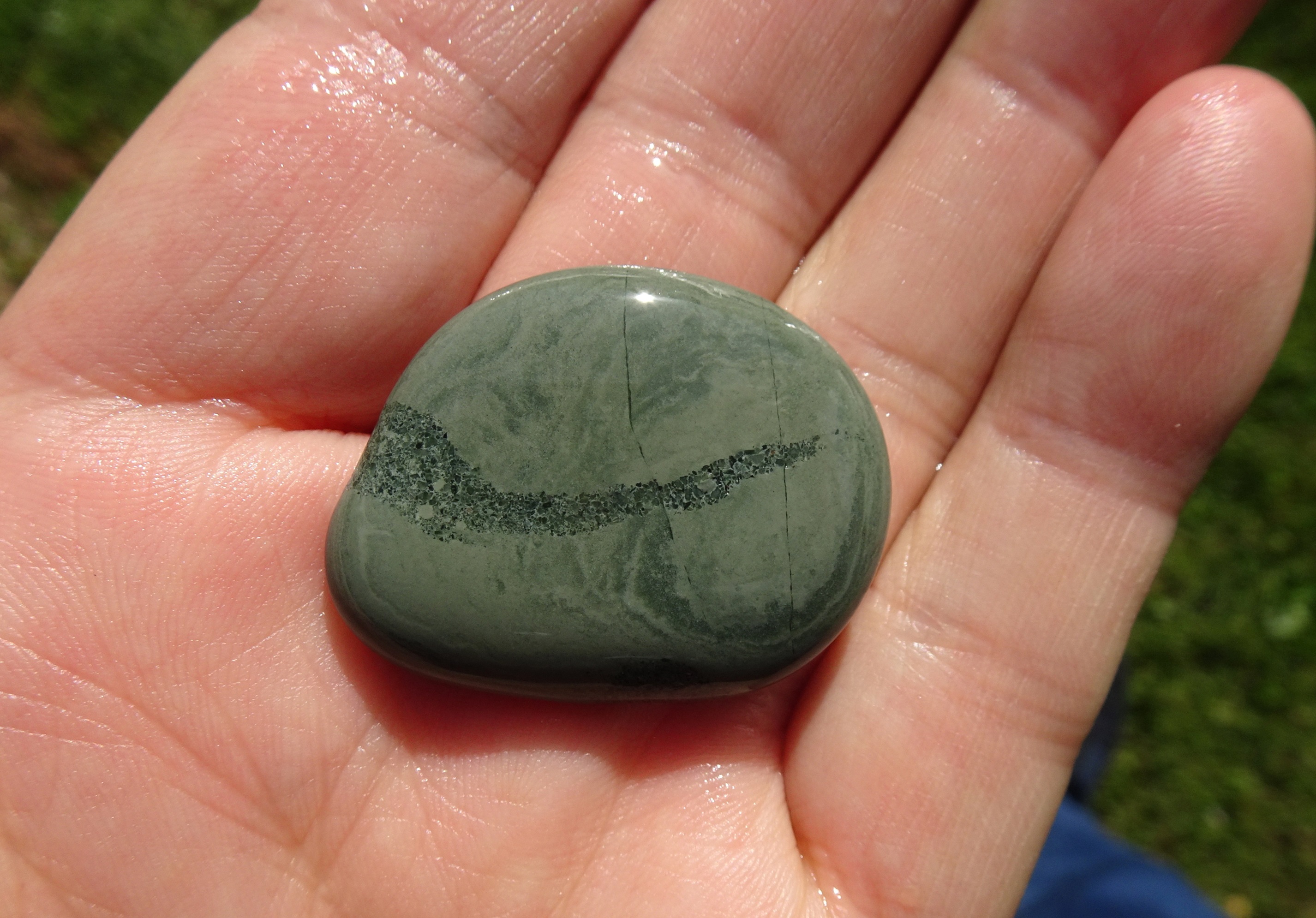 Argillite with vein of breccia.