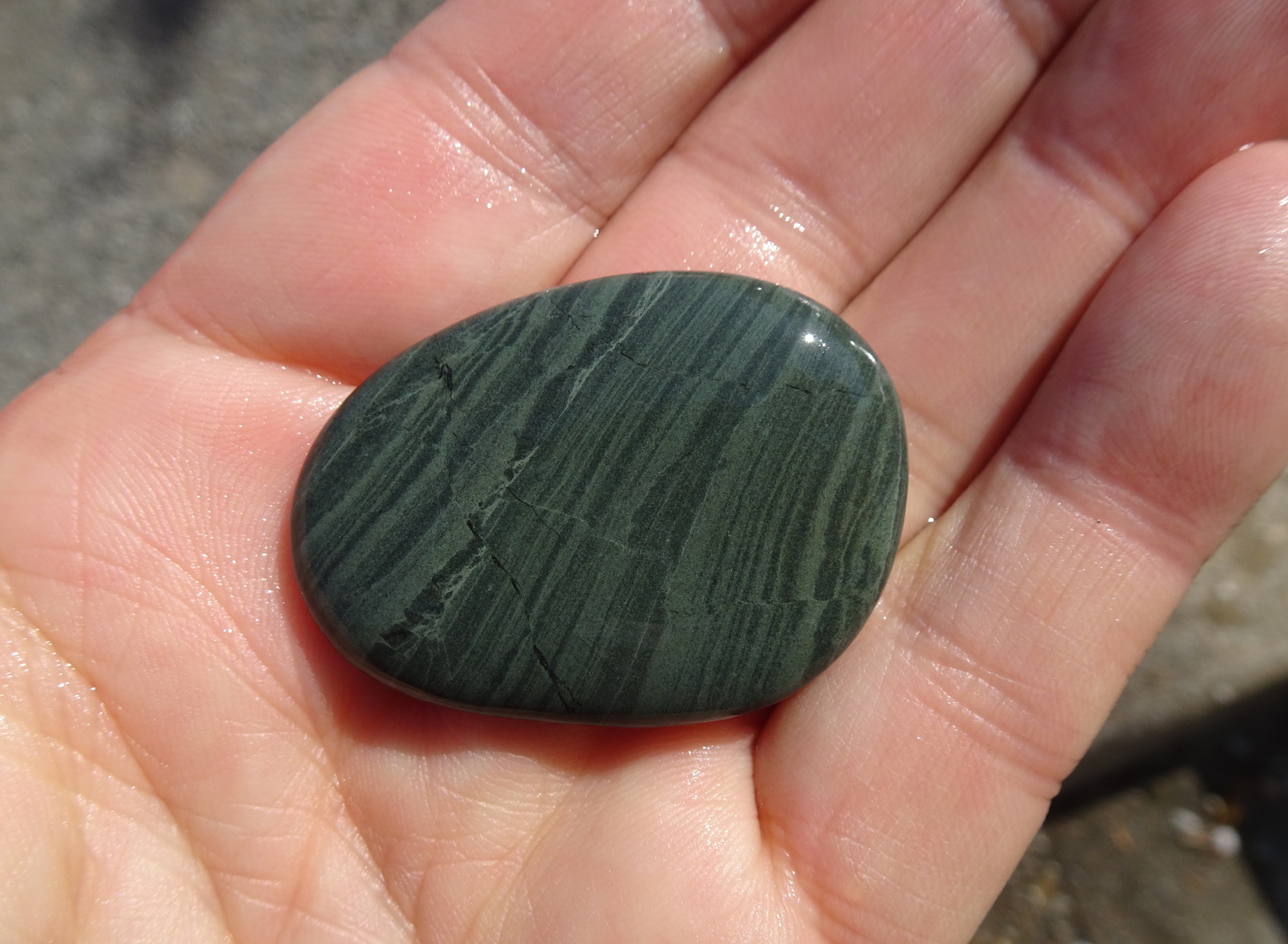 Banded argillite.