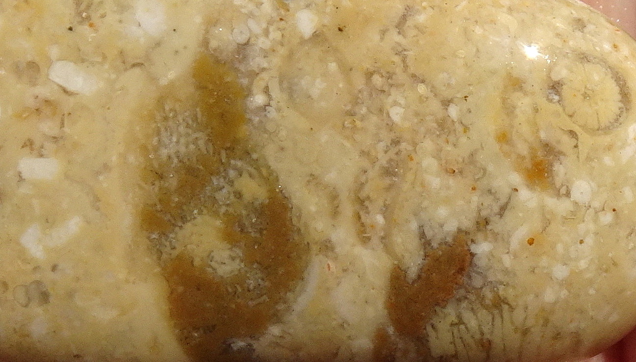19cc22