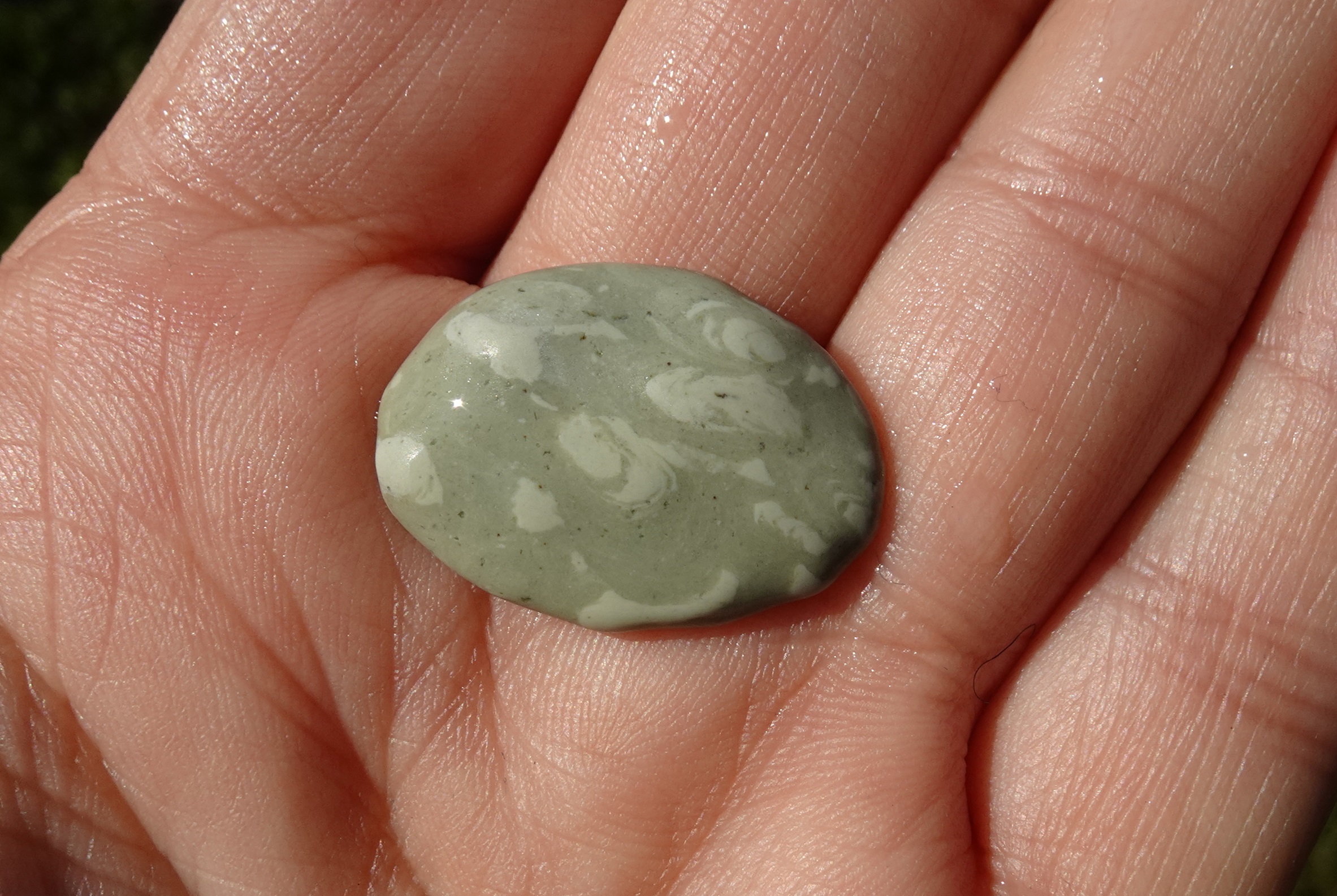 Small trace fossil stone.