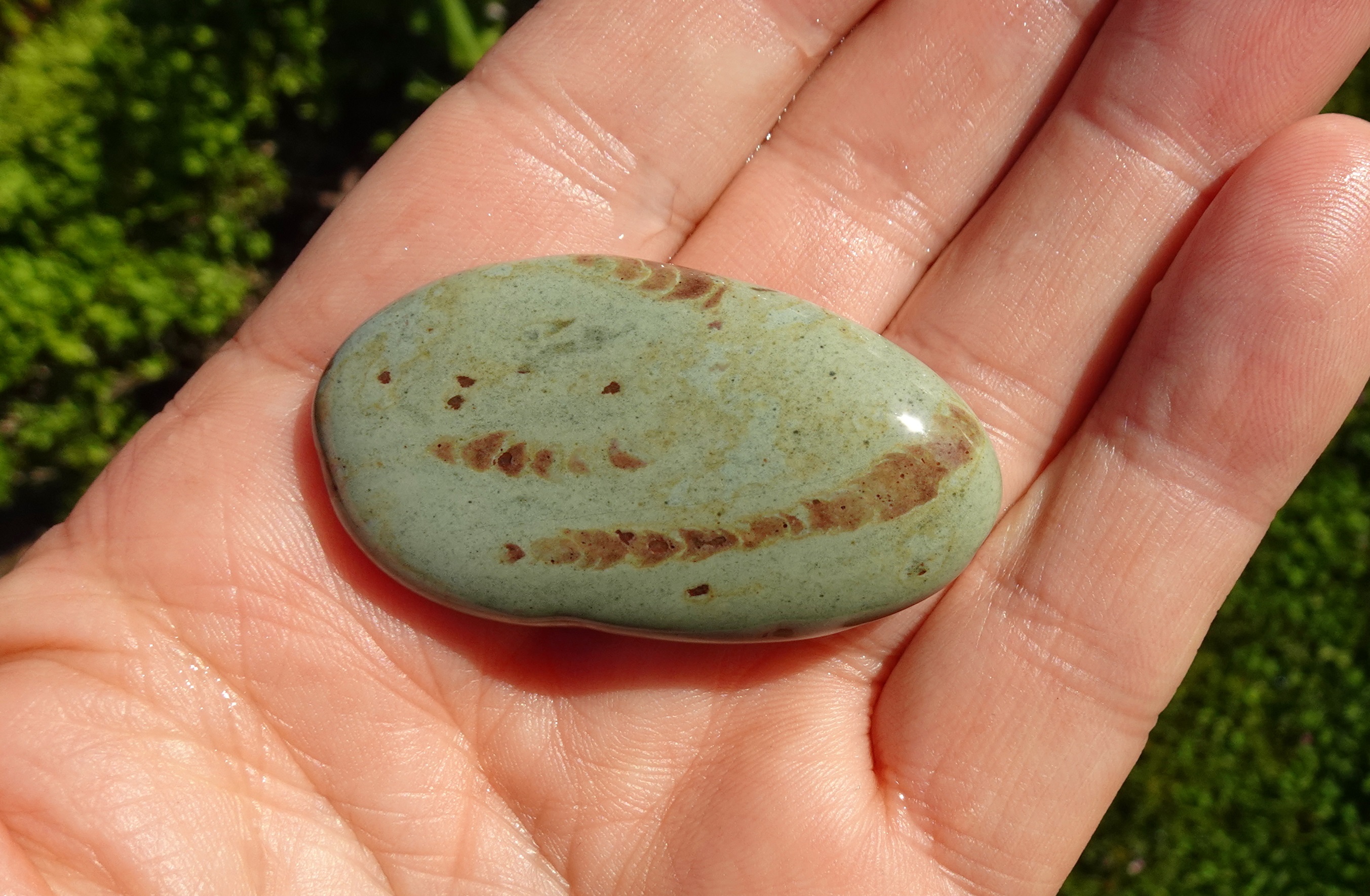 Trace fossil stone, Gemstone Beach.