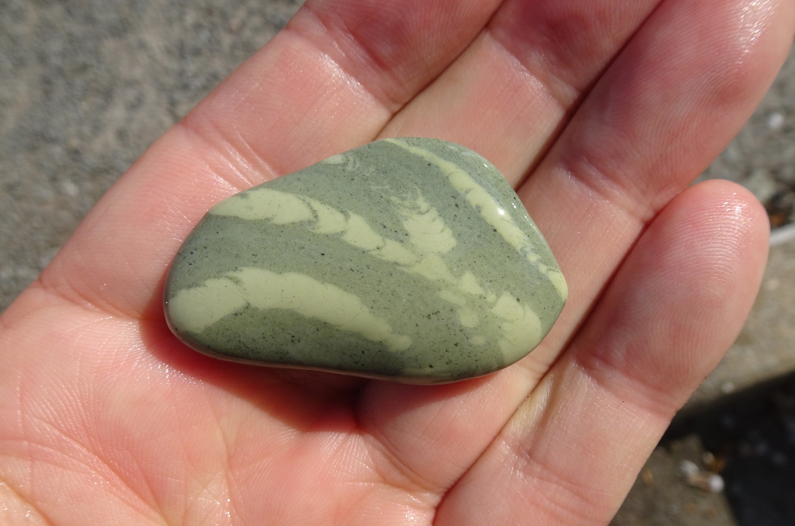 Light-coloured traces in green-gray argillite.