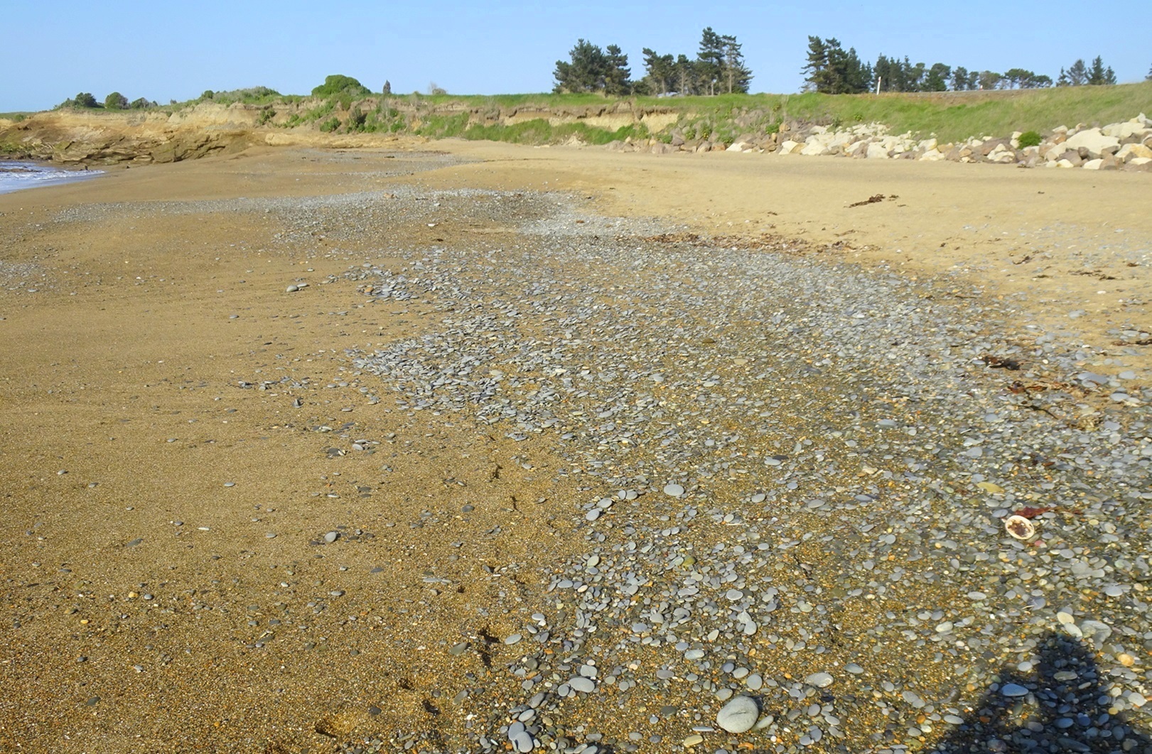 Scatterings of stones at high tide mark along Seadown Beach.