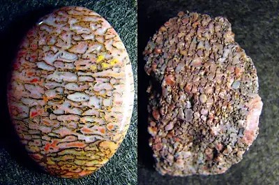 www.geologyin.com/2024/05/agatized-dinosaur-bone.html
