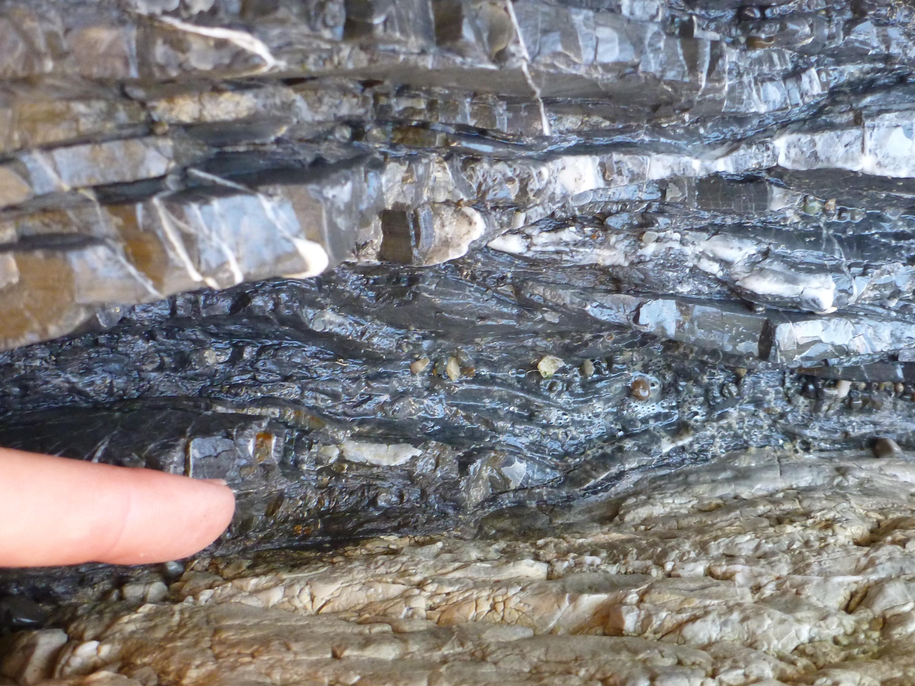 Close-up of K-Pg boundary. www.geotrips.org.nz/trip.html?id=525