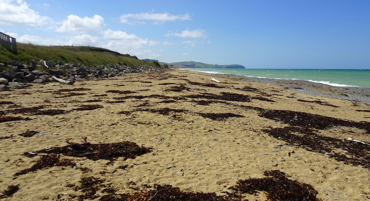 Looking northwards, towards the city of Oamaru, just over the horizon.