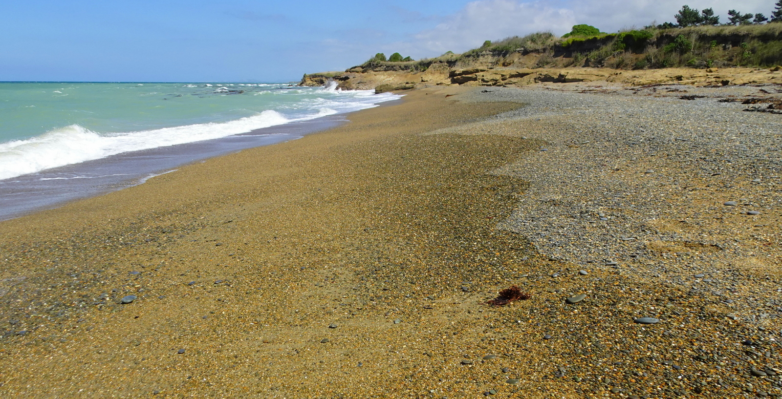 At the wave edge, south end of the beach.