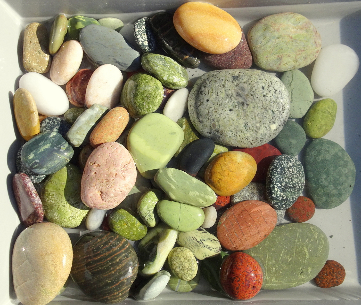 My finds today, minus the hydrogrossulars.