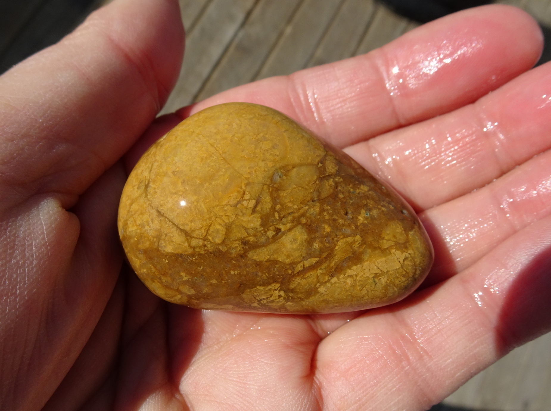 Brecciated quartzite.