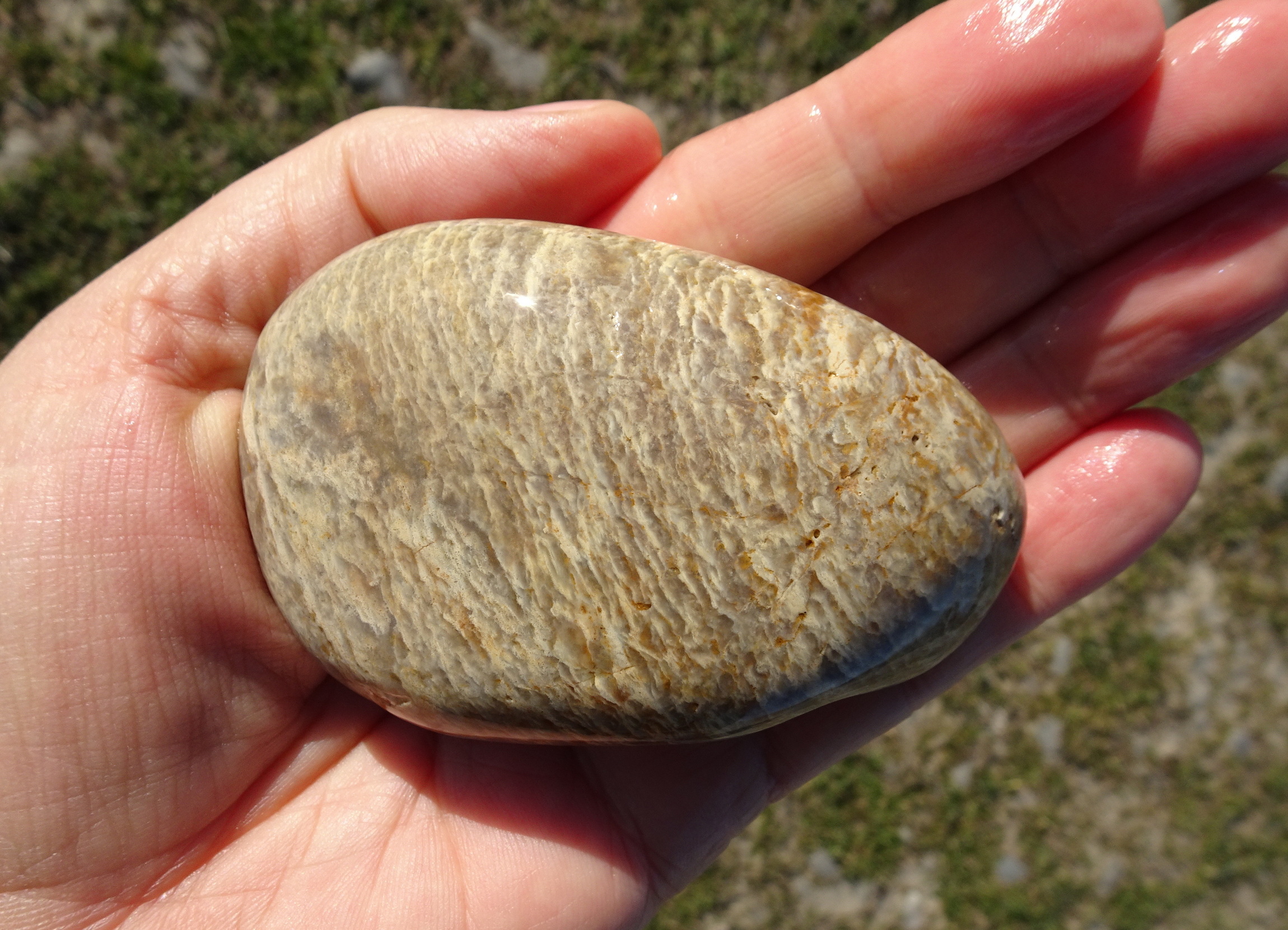Quartzite.