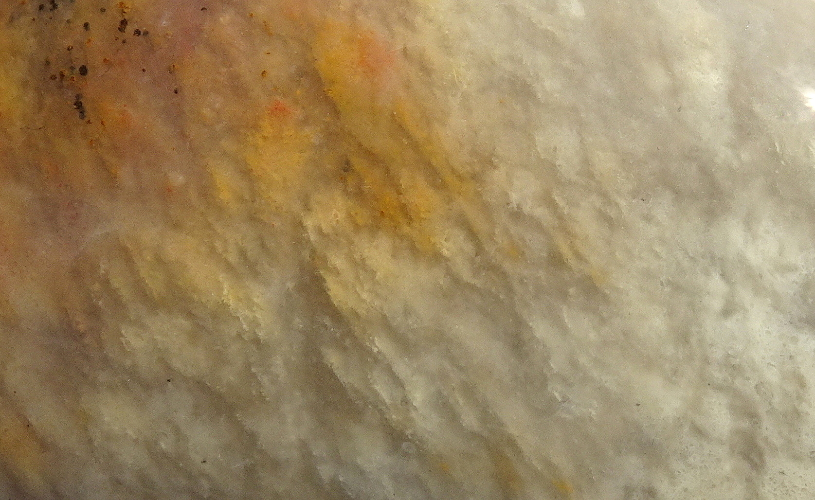 09bcc22