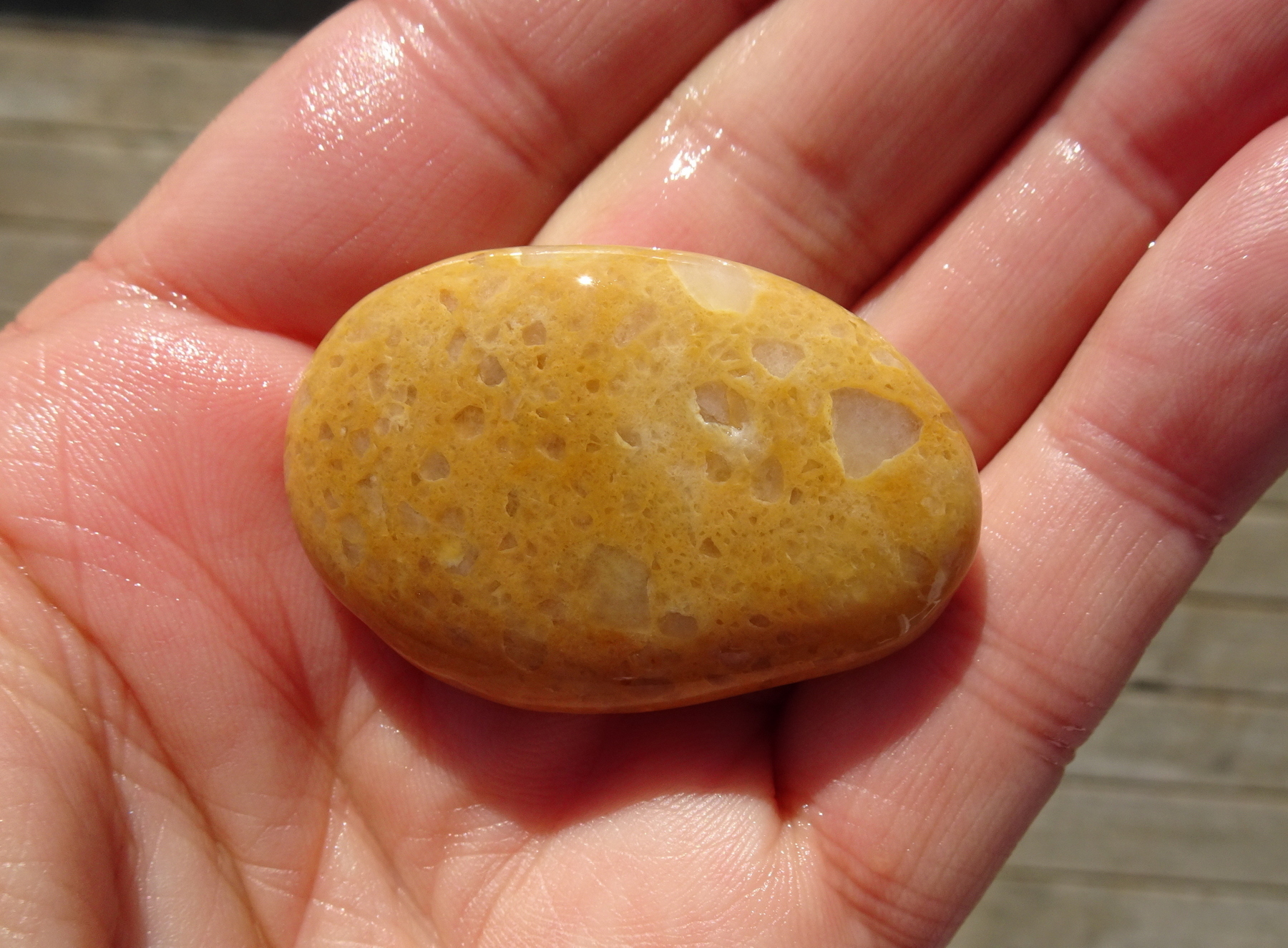 A type of orange quartzite?