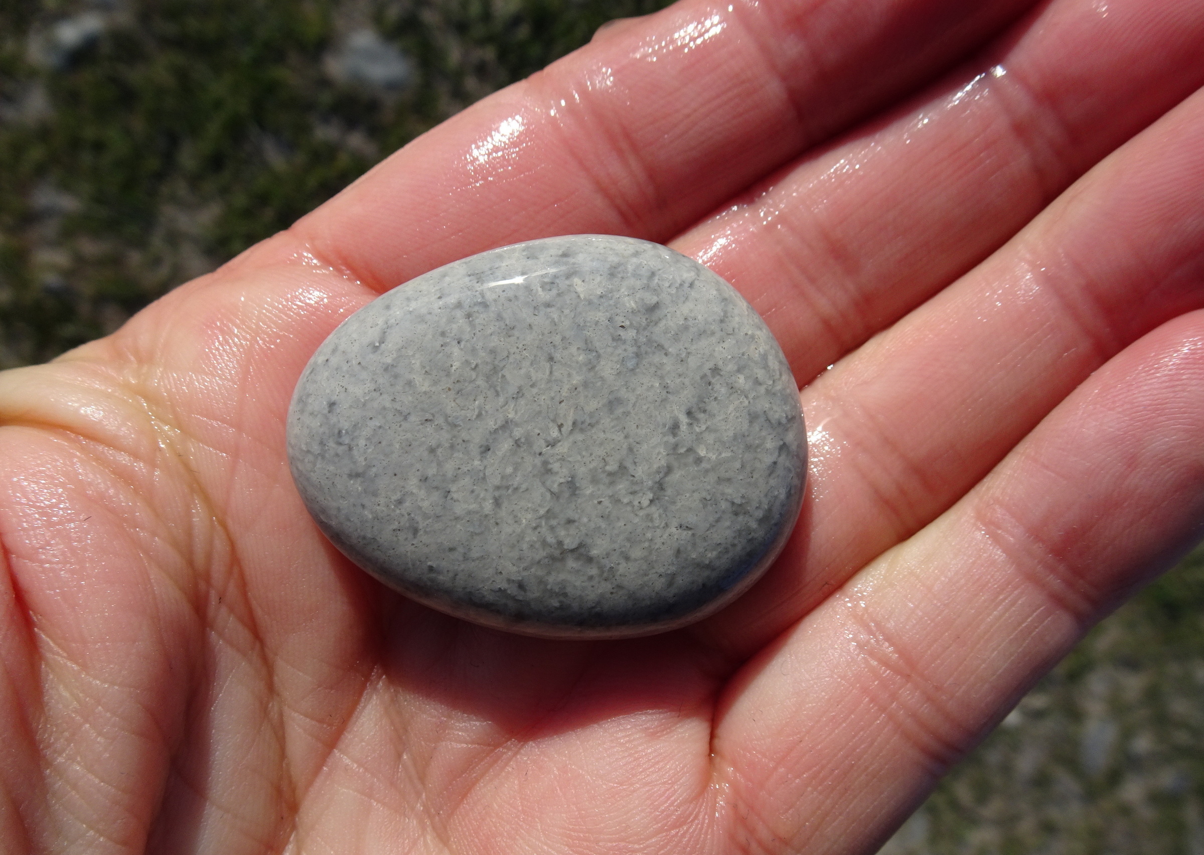 Pale quartzite.