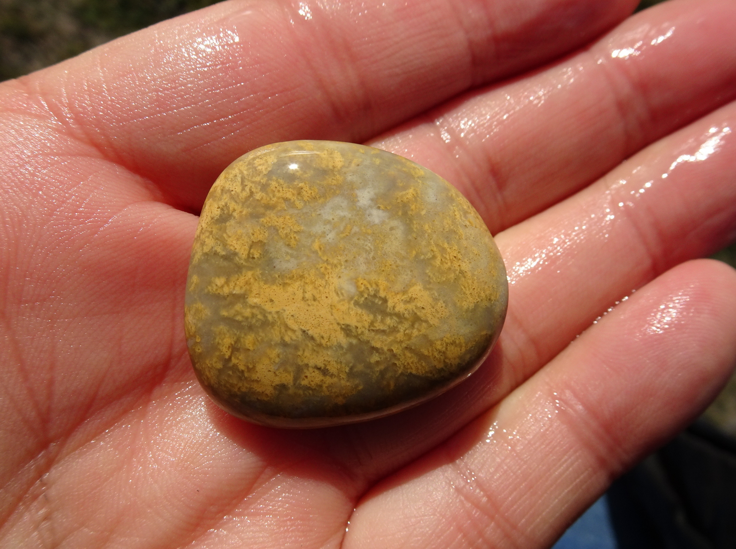 Quartzite.