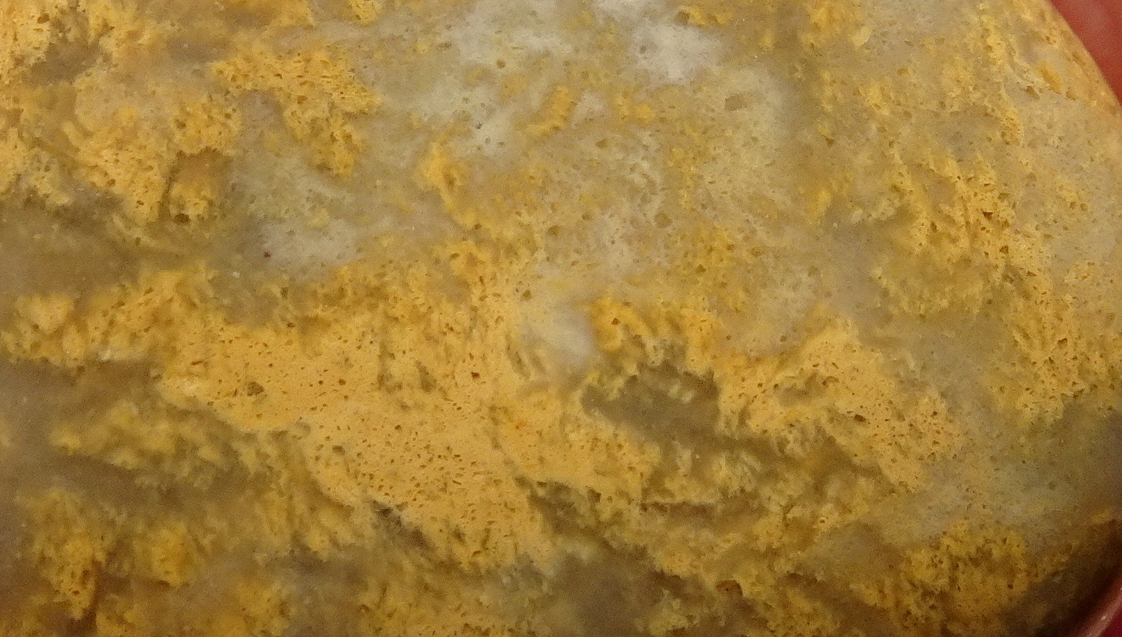 29cc22