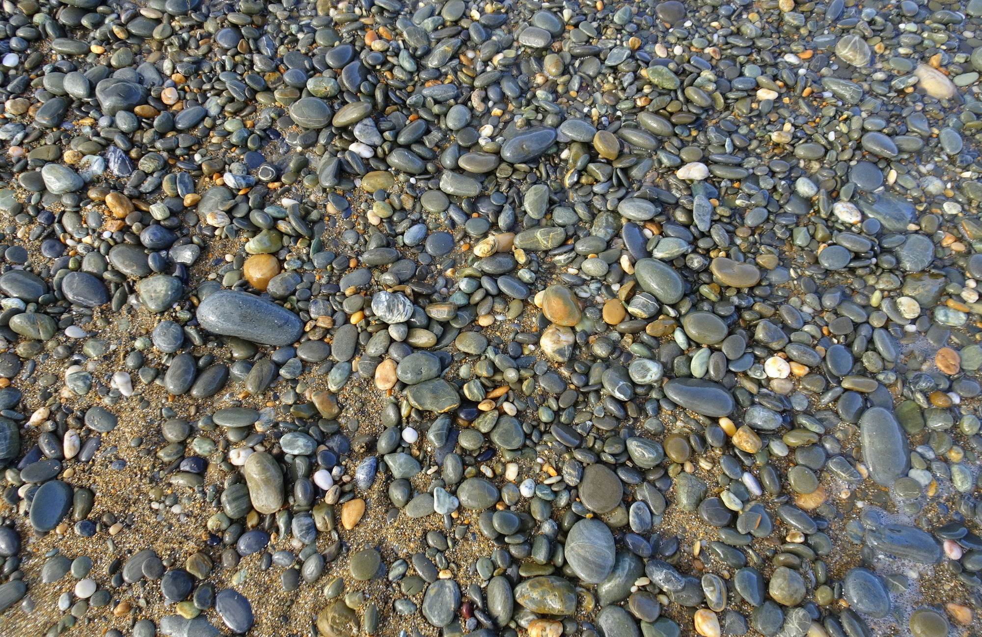 Seadown Beach stones.