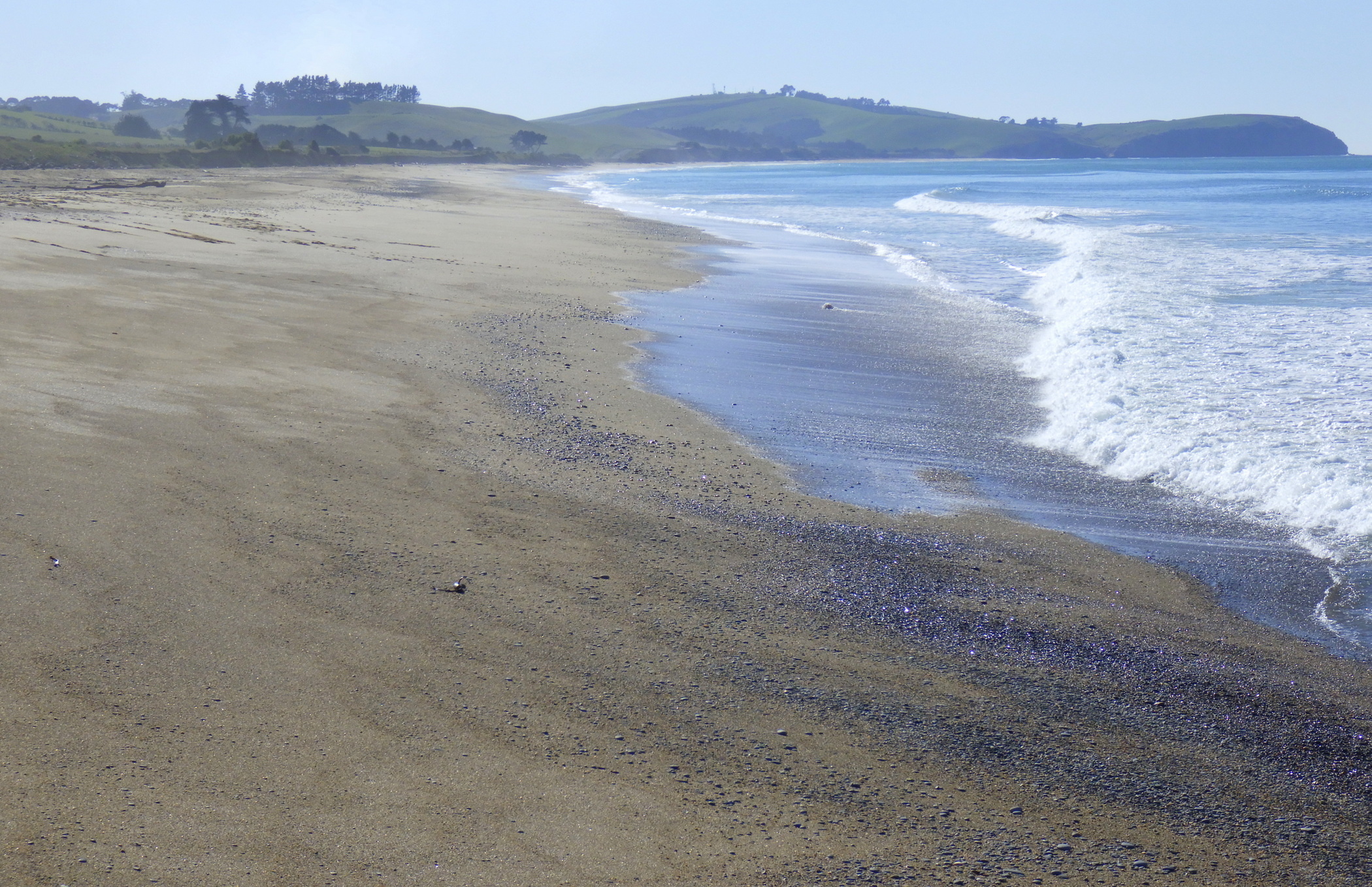 Looking north along Seadown Beach.