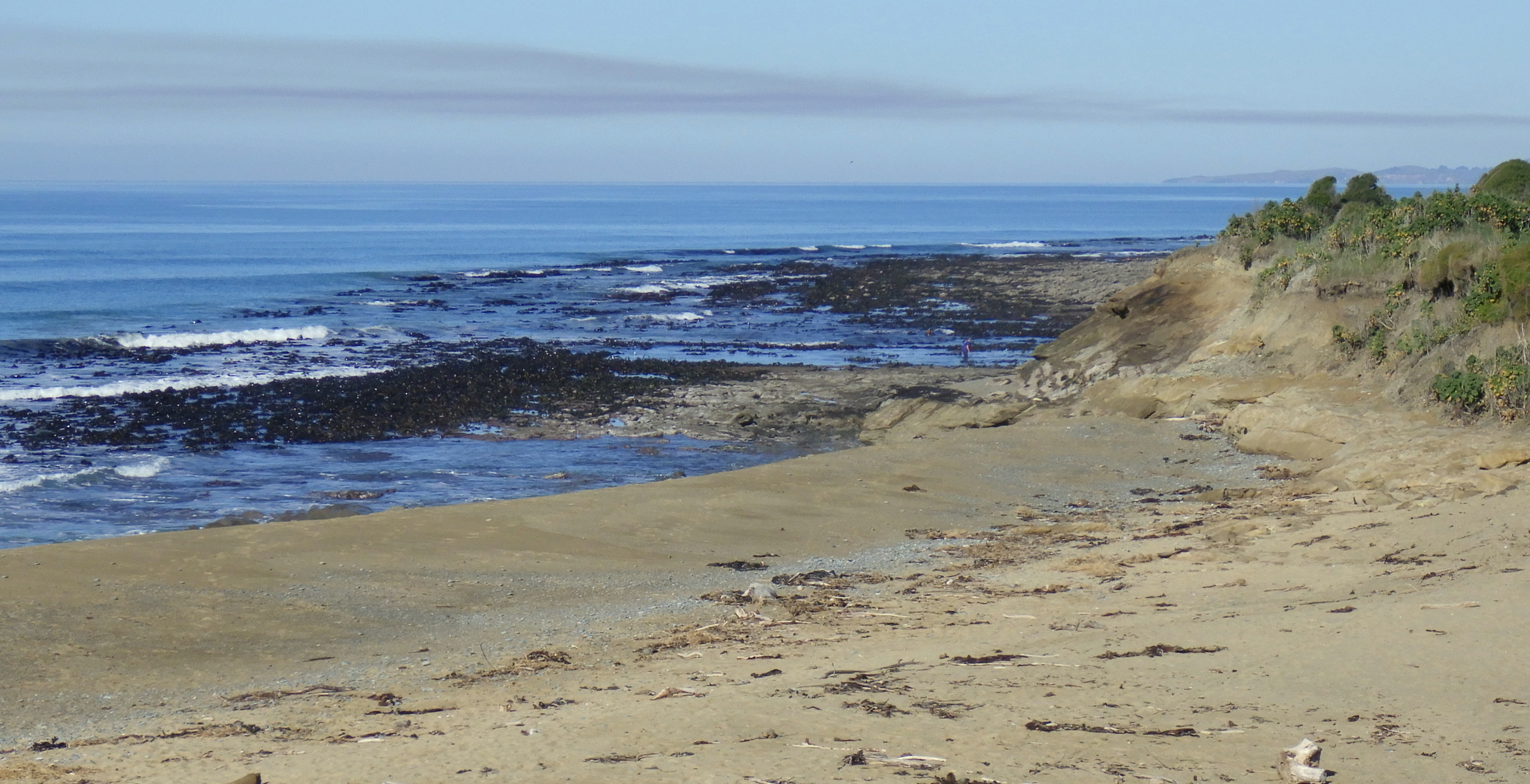 The rock platform that people collect shellfish from.