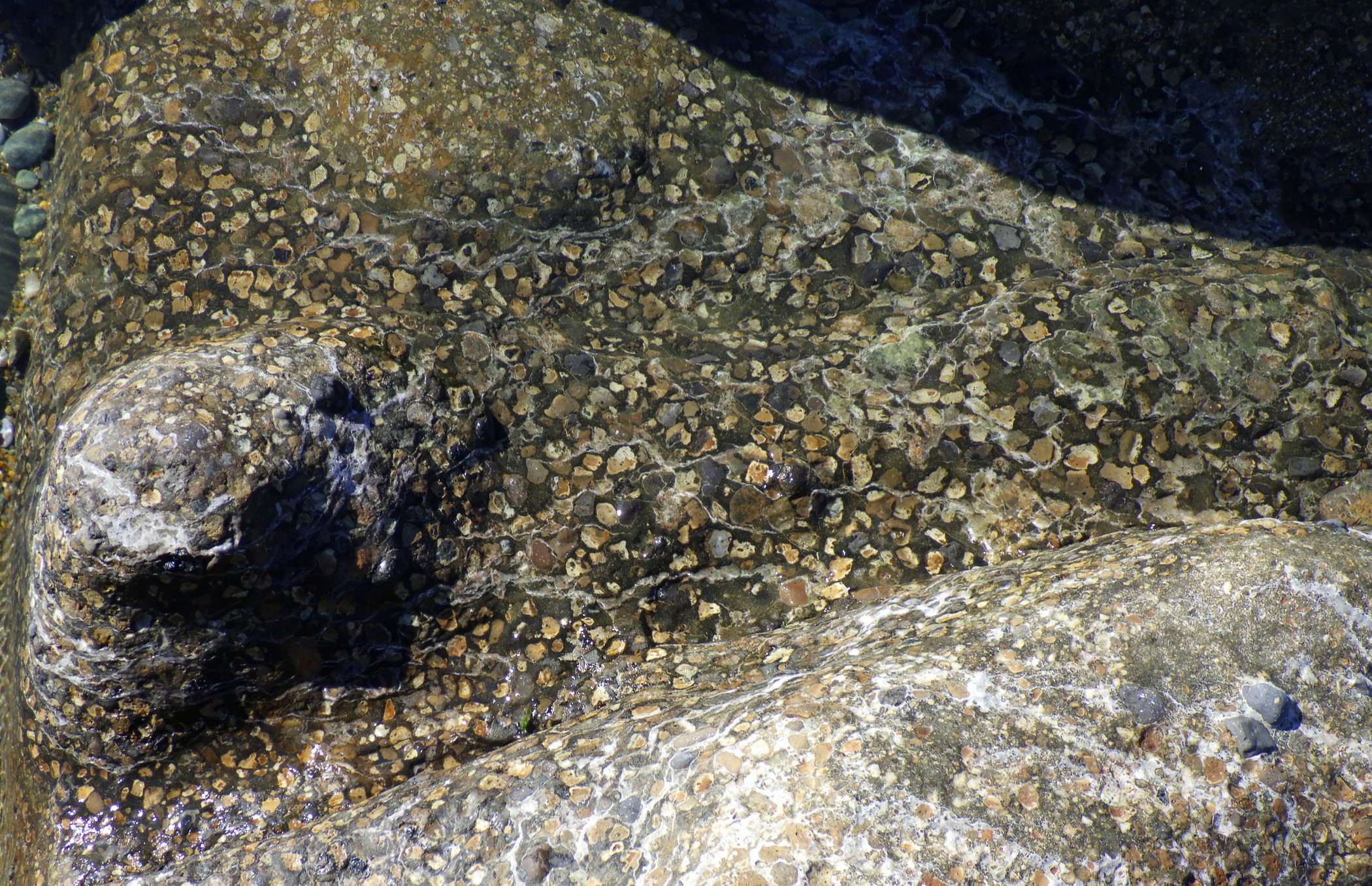 Wet Kakanui Mineral Breccia rock. The photo shows an area just under one metre.