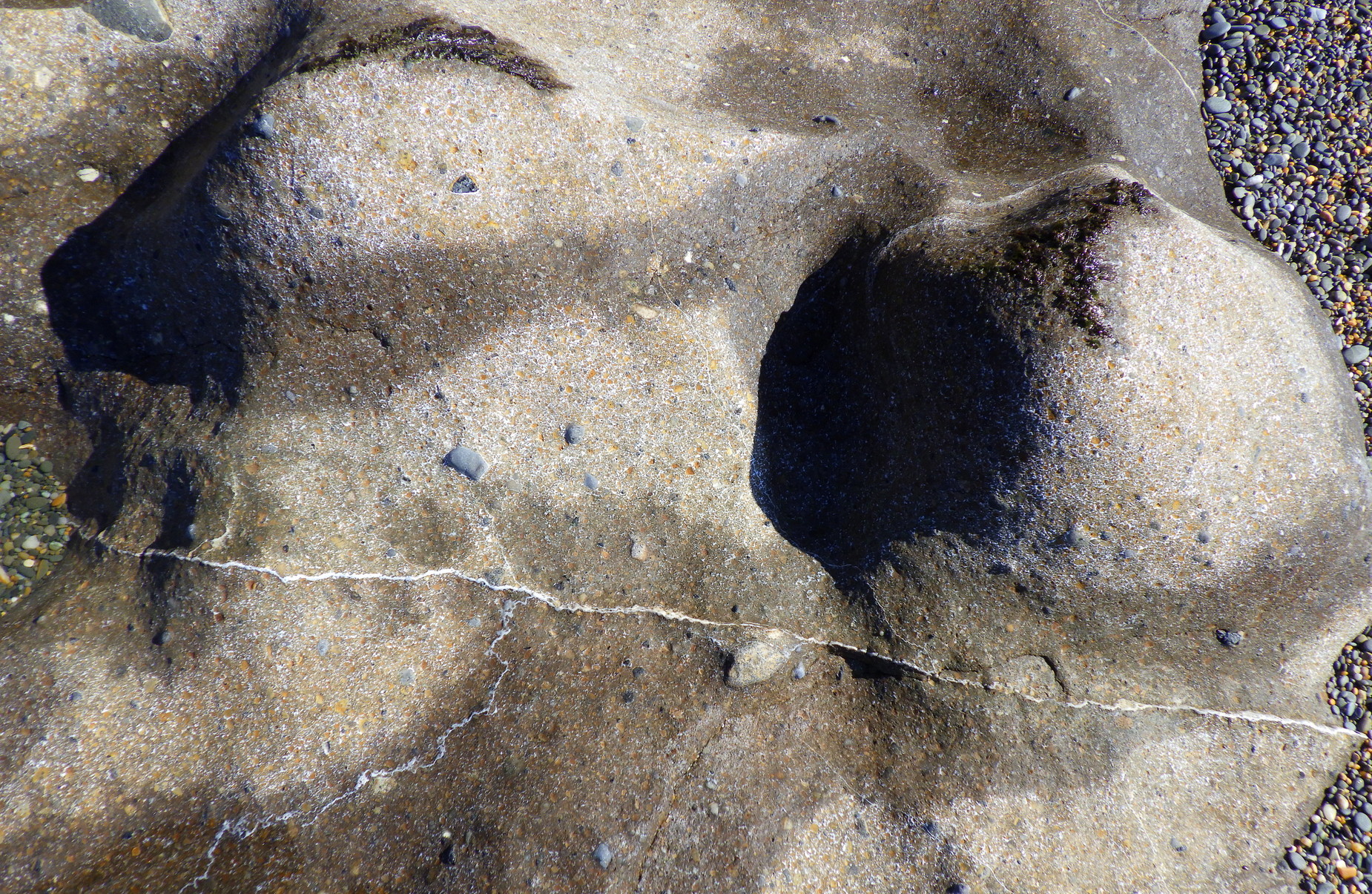 Dry Kakanui Mineral Breccia rock. The photo shows an area of just over one metre.