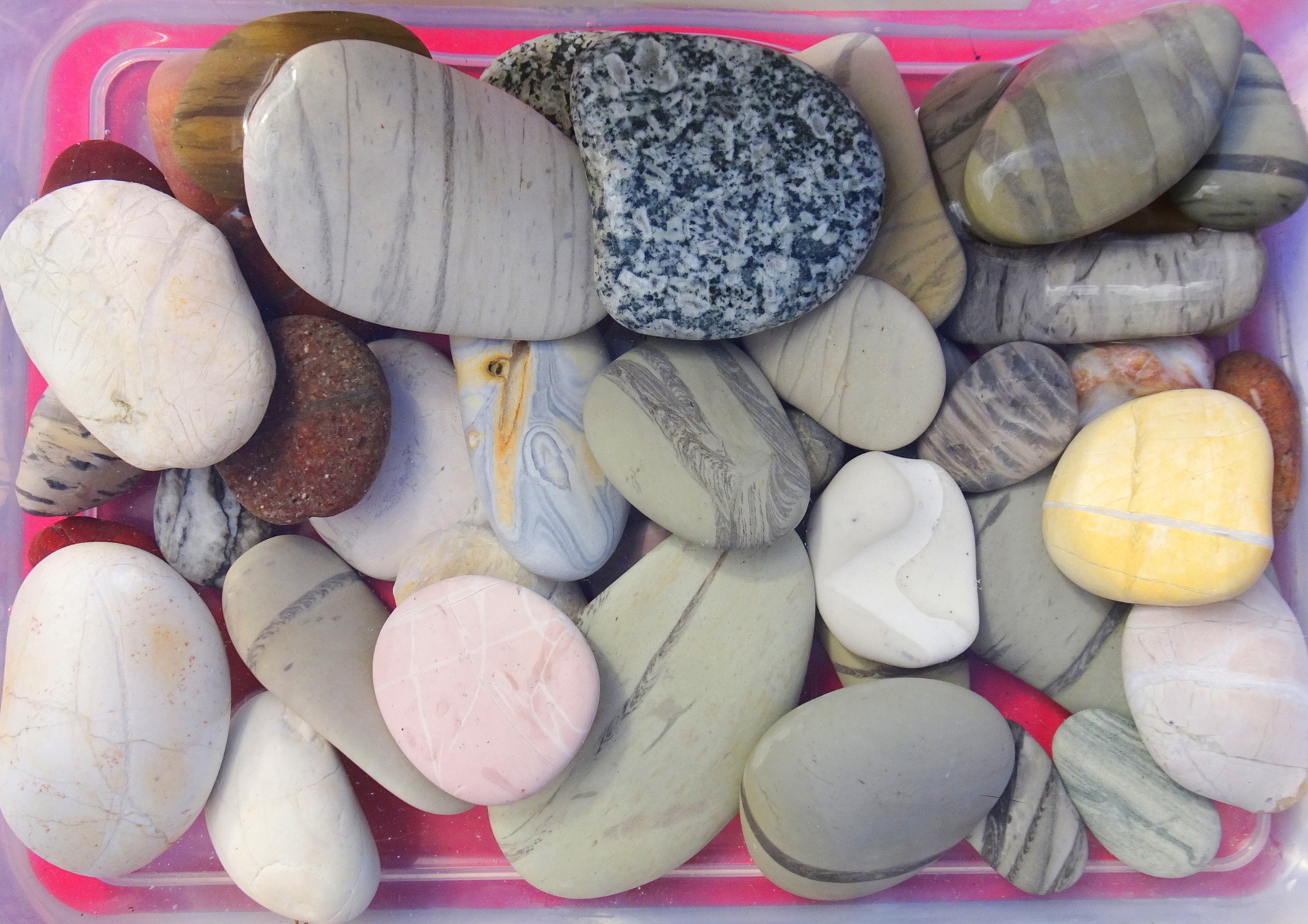My Ward Beach collection today.