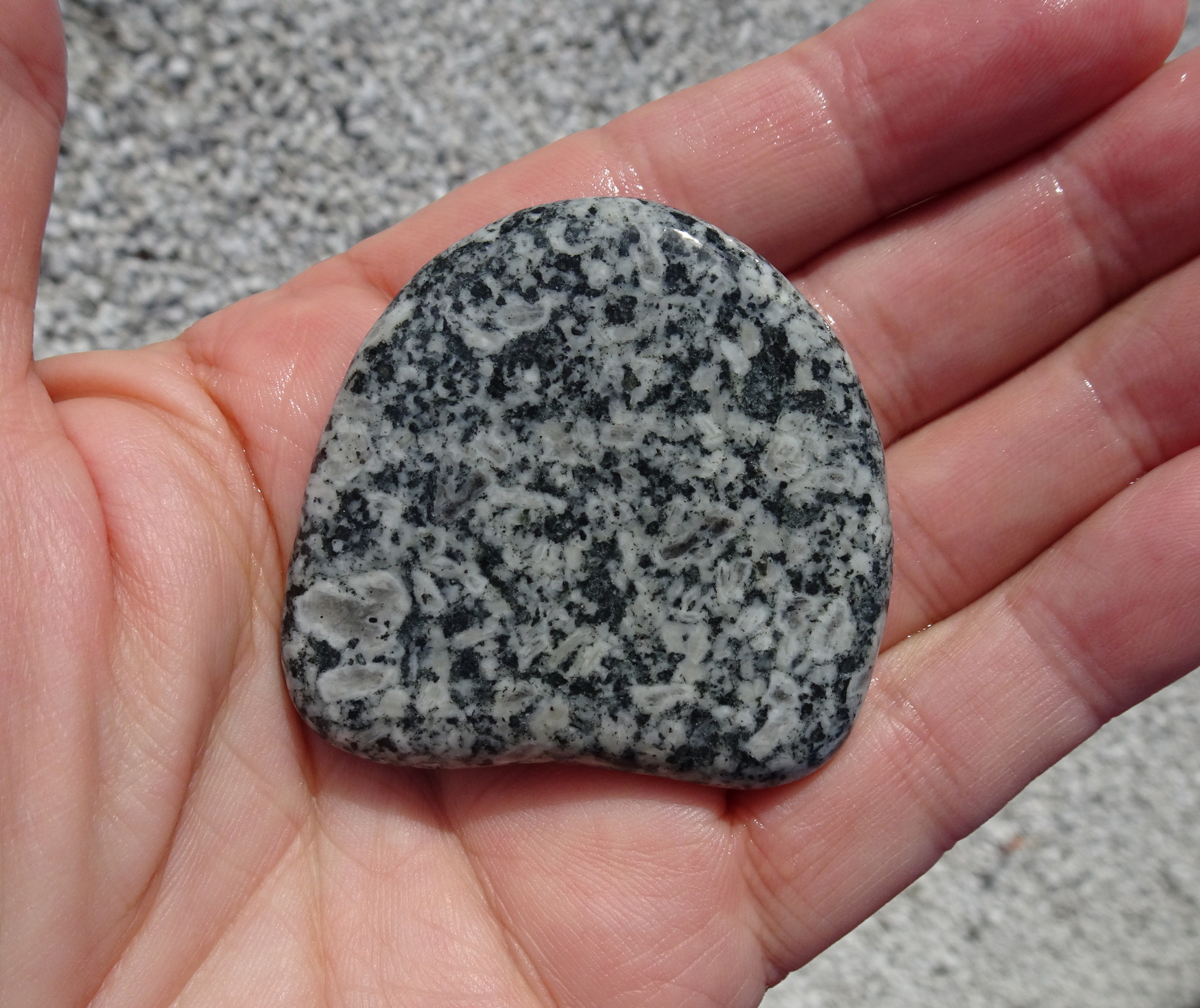 One side of igneous stone with interesting crystals.