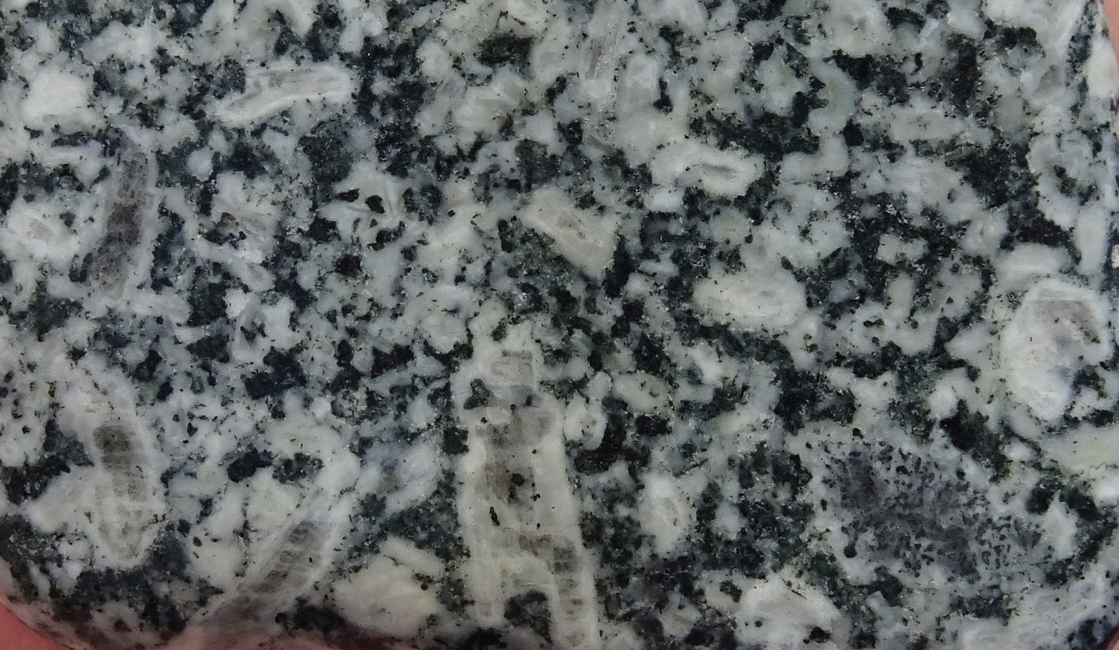 02bcc22