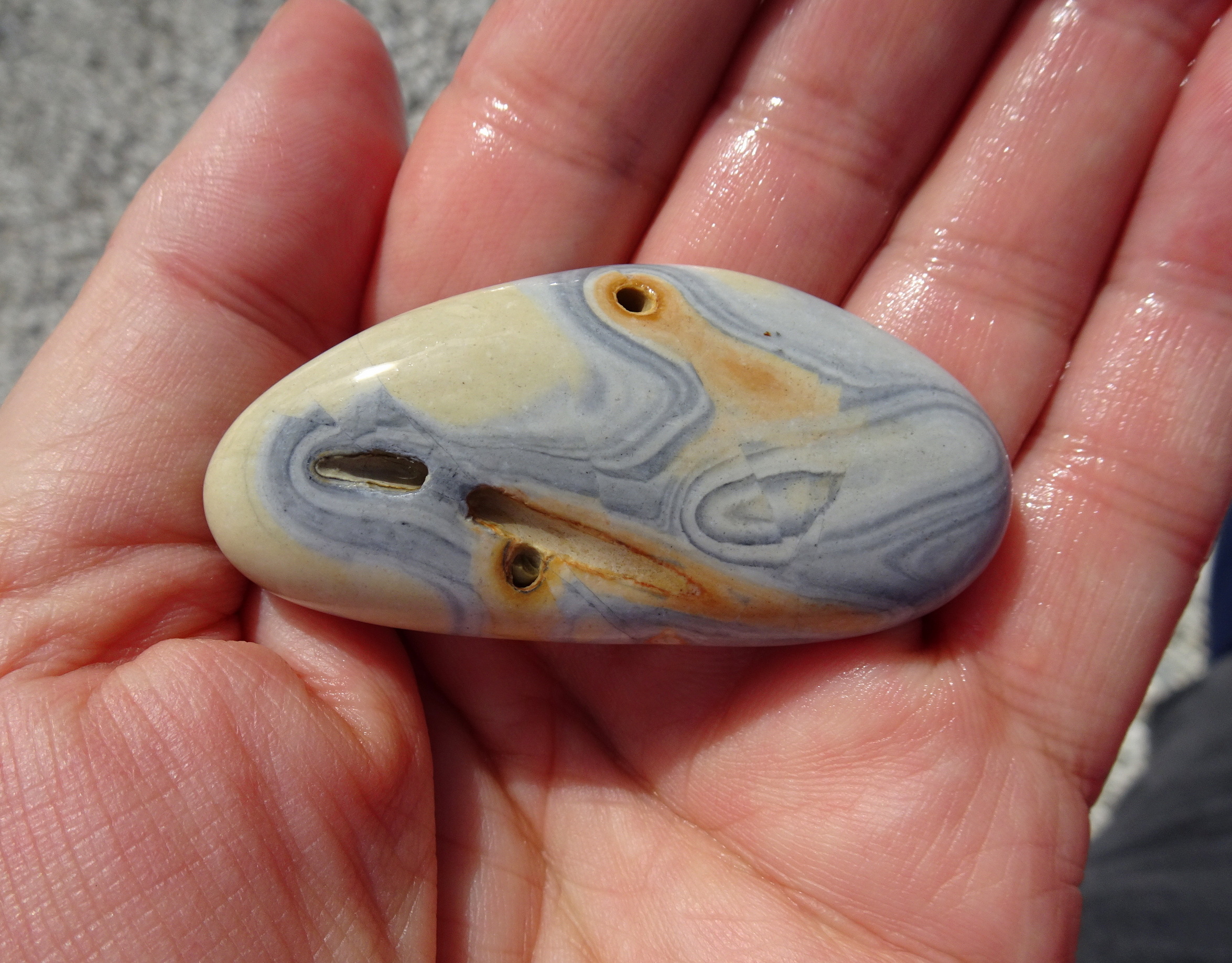Colourful limestone pebble.